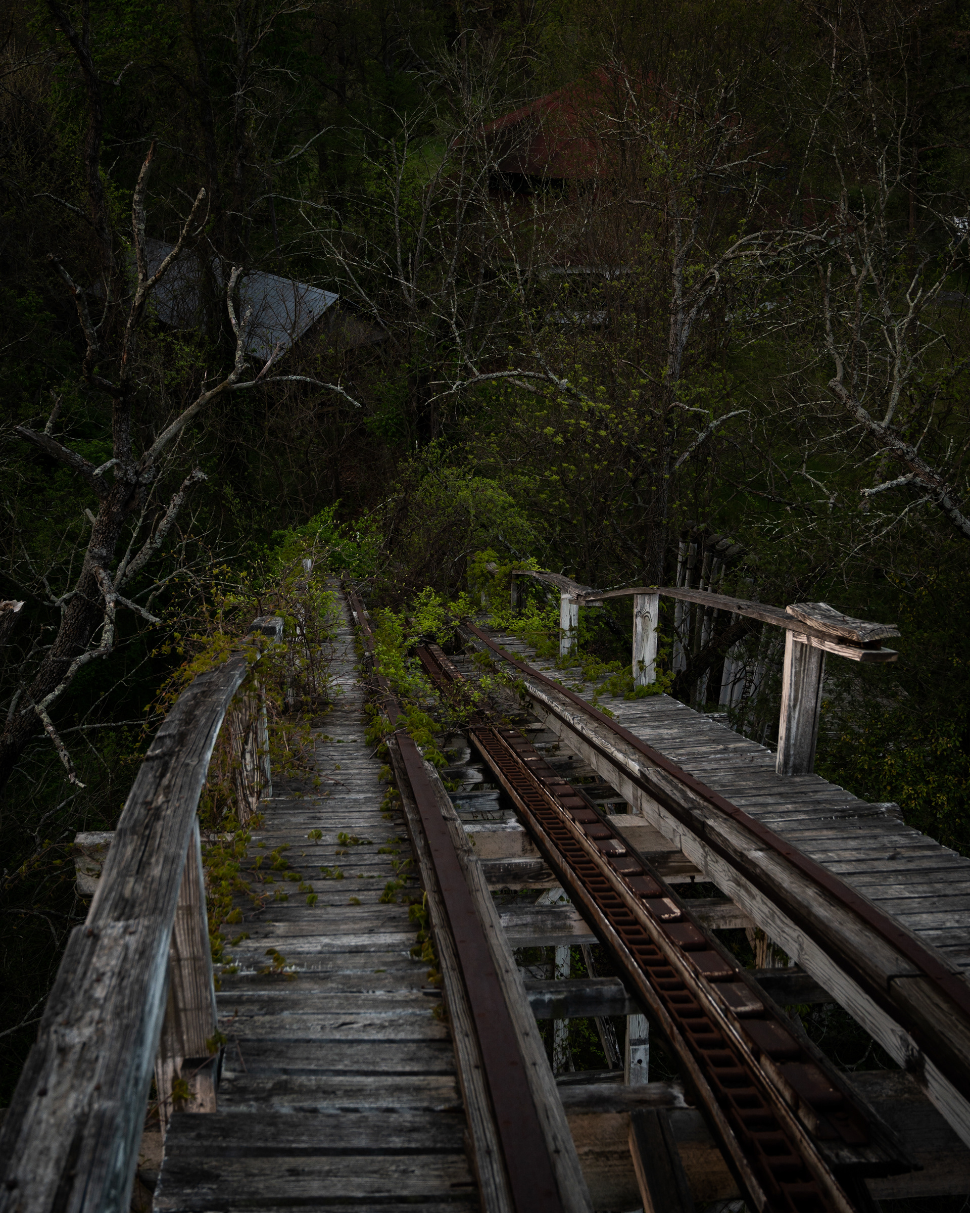 Williams Grove Amusement Park | Mechanicsburg, PA