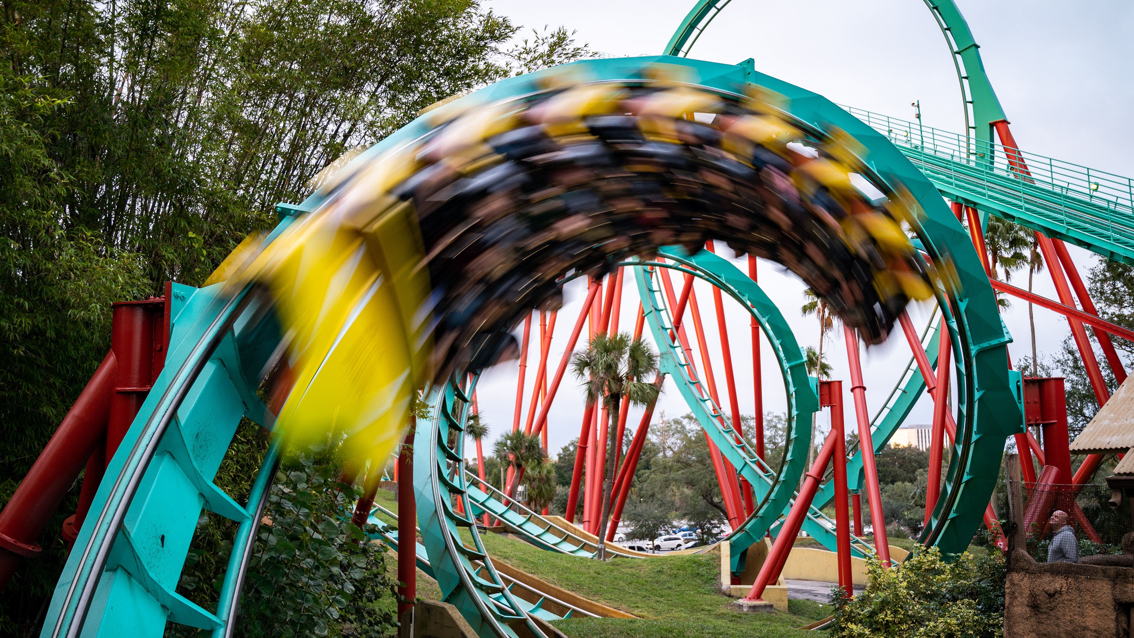 Busch Gardens Tampa | Tampa, FL