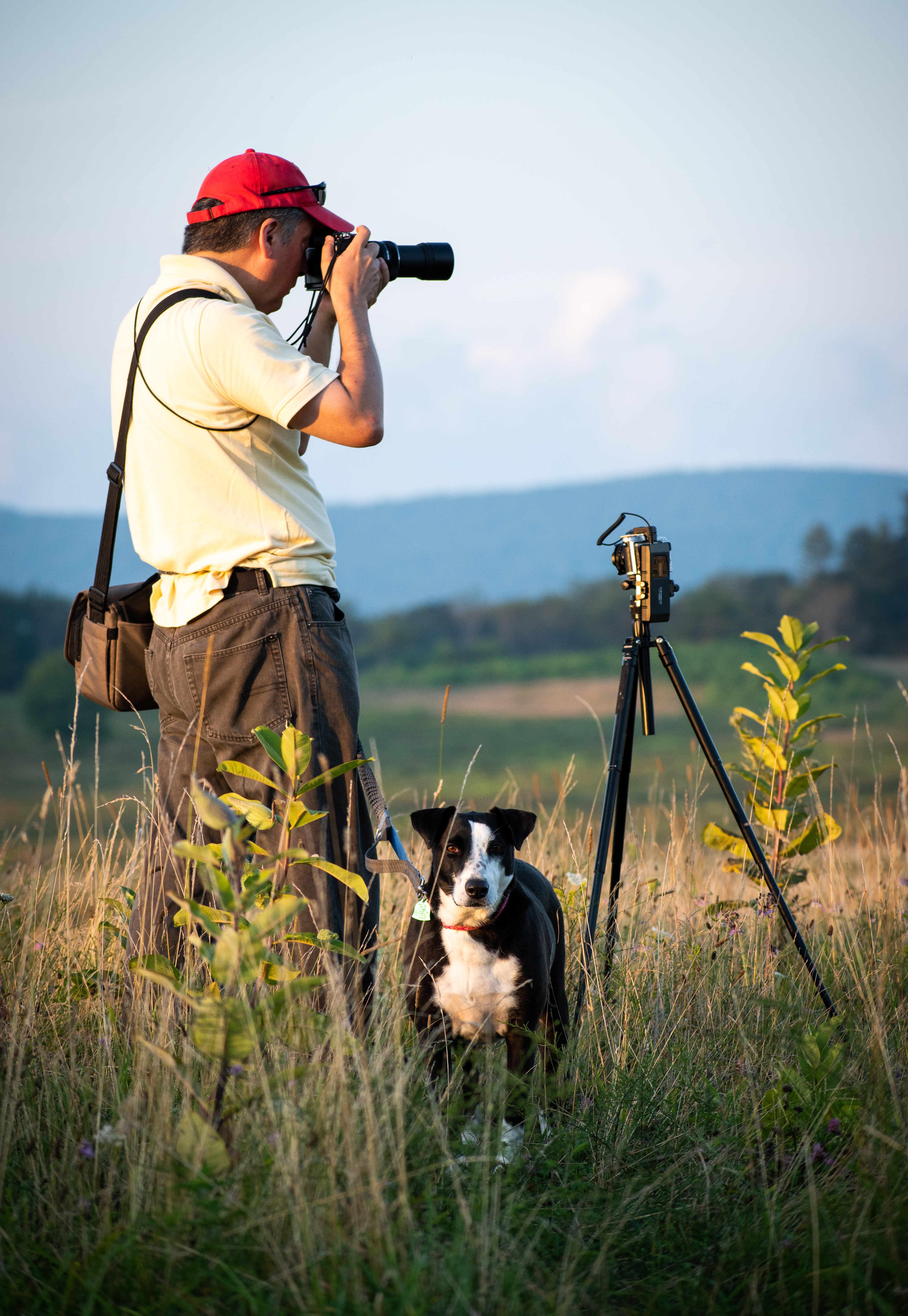 Big Meadows | Shenandoah National Park, VA