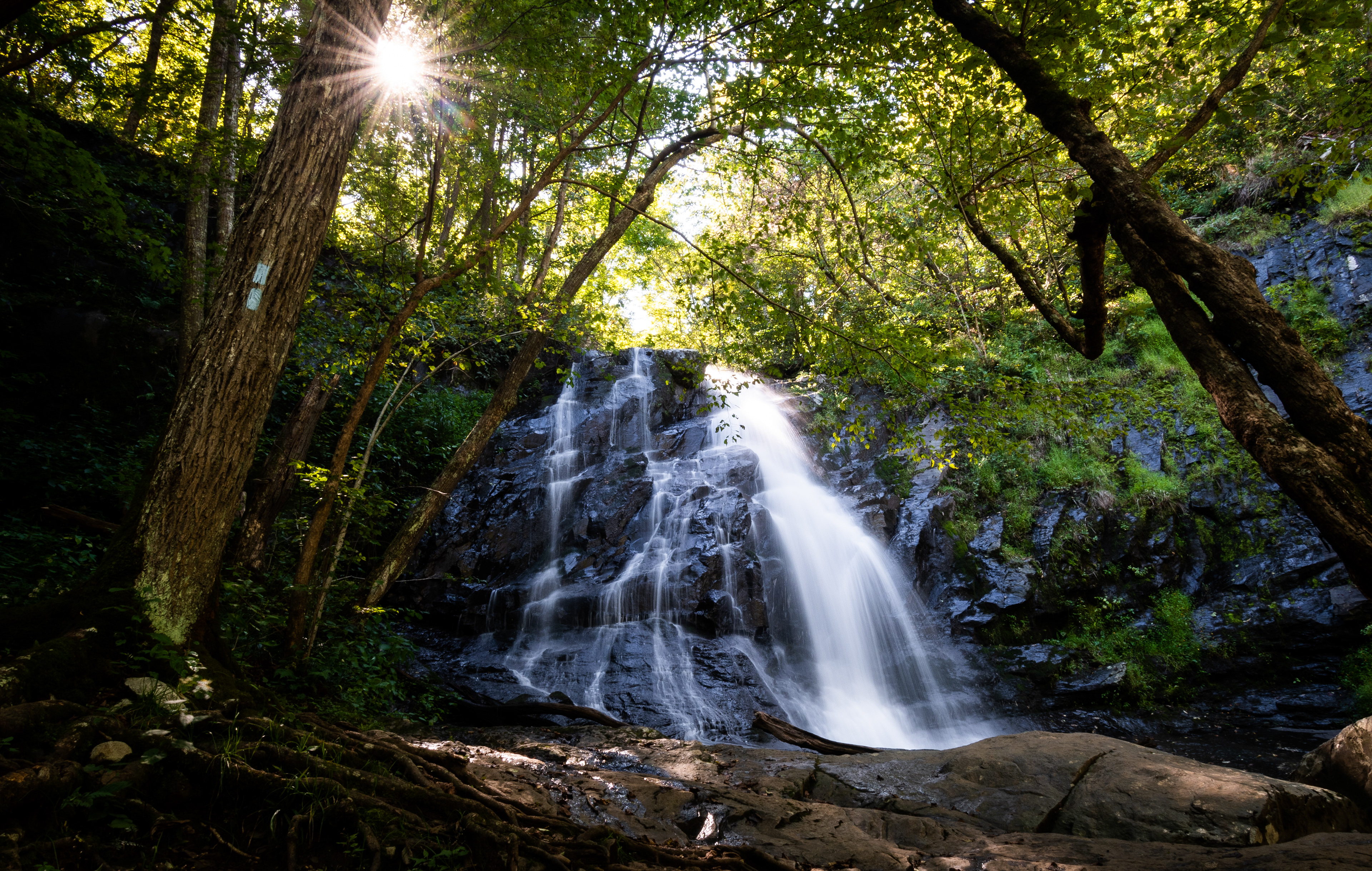 Jones Run Falls | Shenandoah National Park, VA