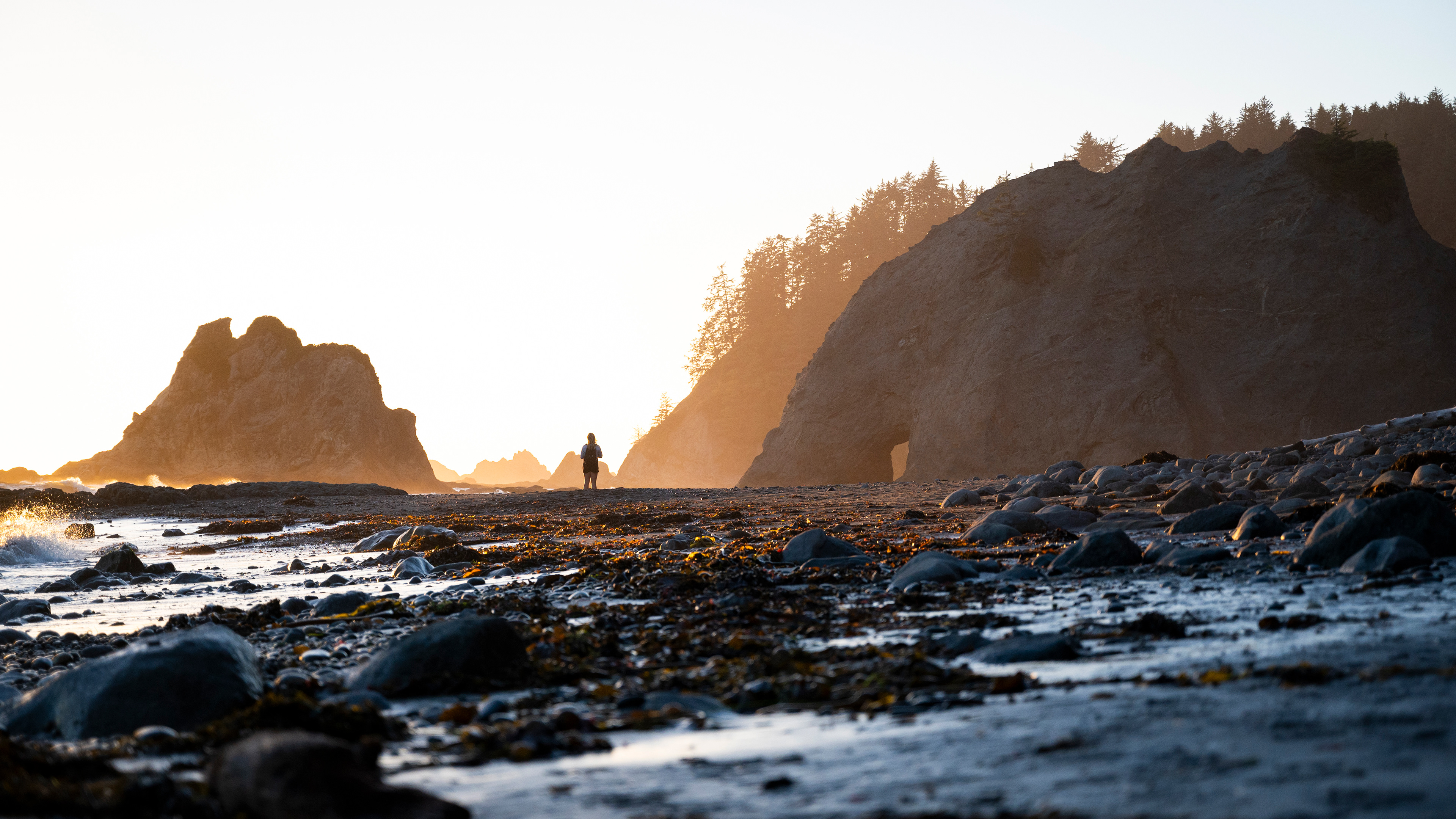 Rialto Beach | Olympic National Park, WA