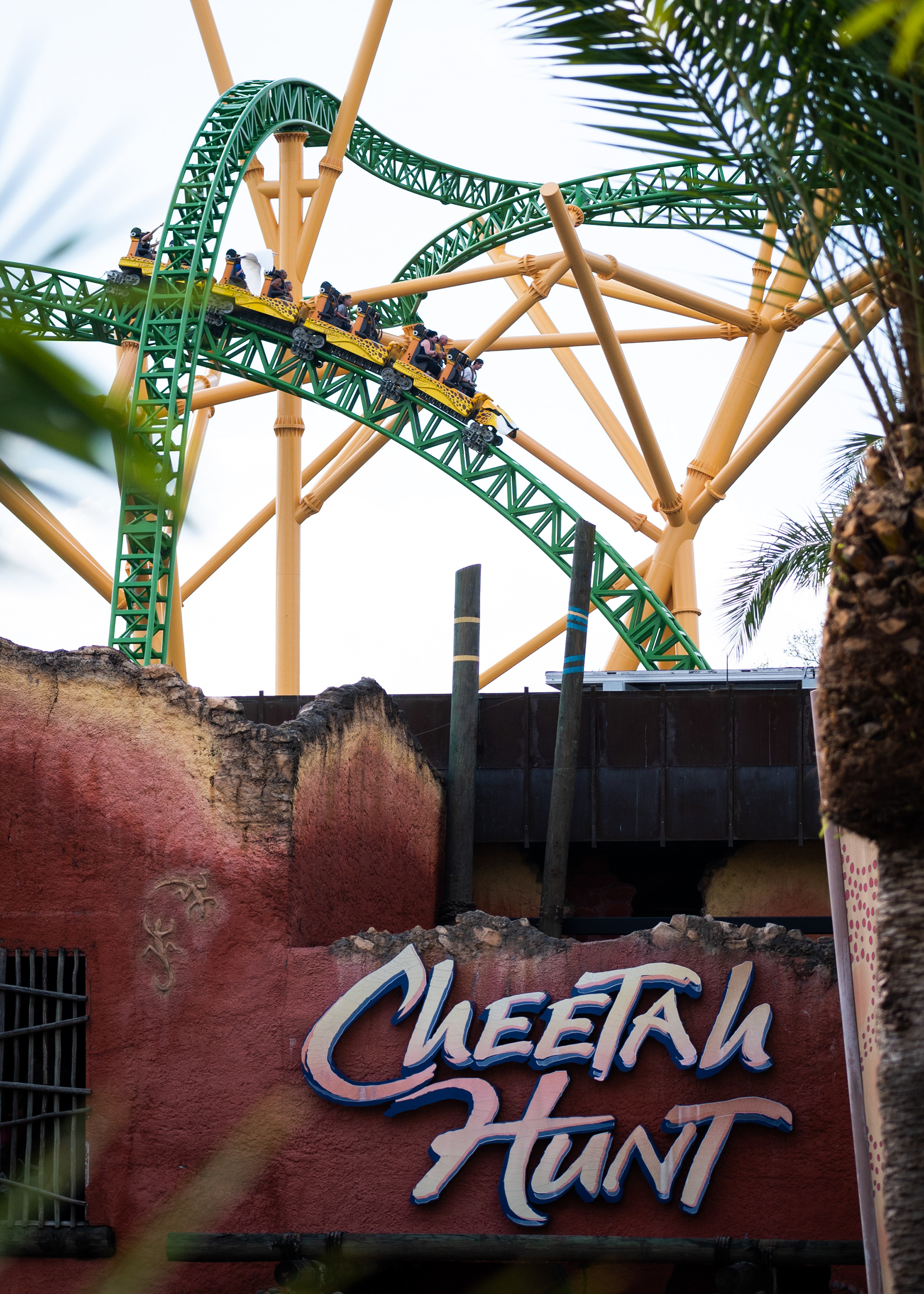 Busch Gardens Tampa | Tampa, FL | 23 February 2022