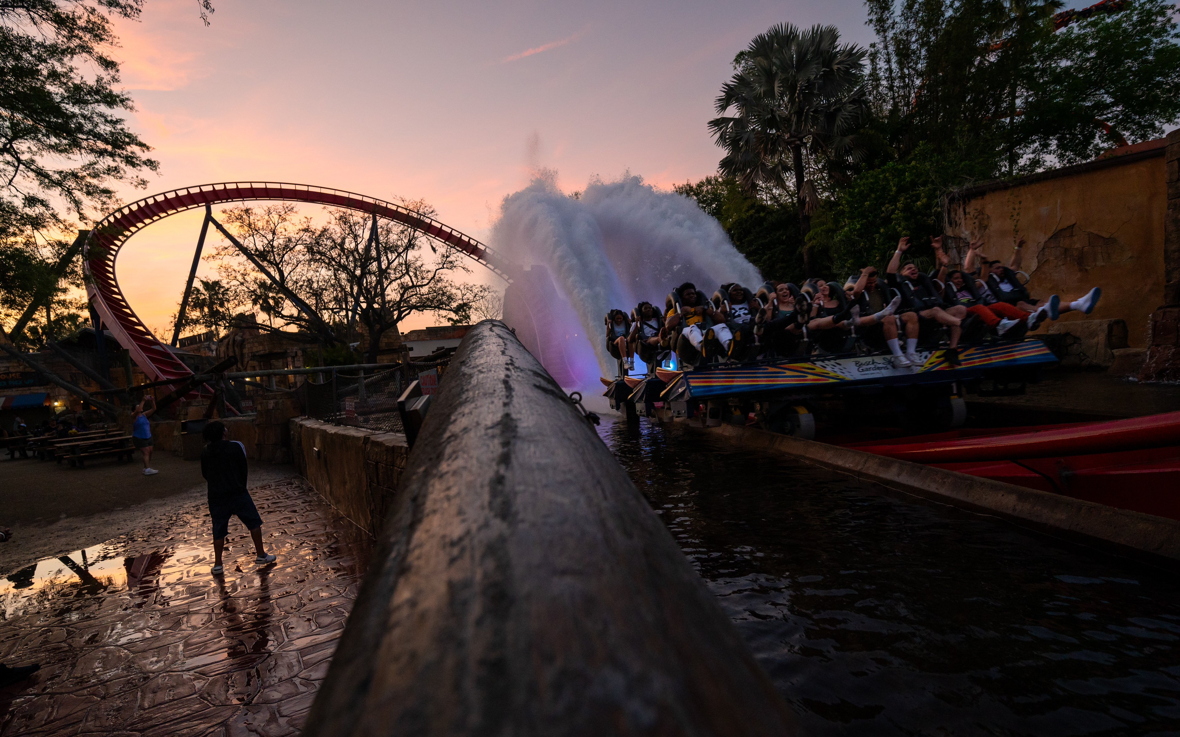 Busch Gardens Tampa | Tampa, FL