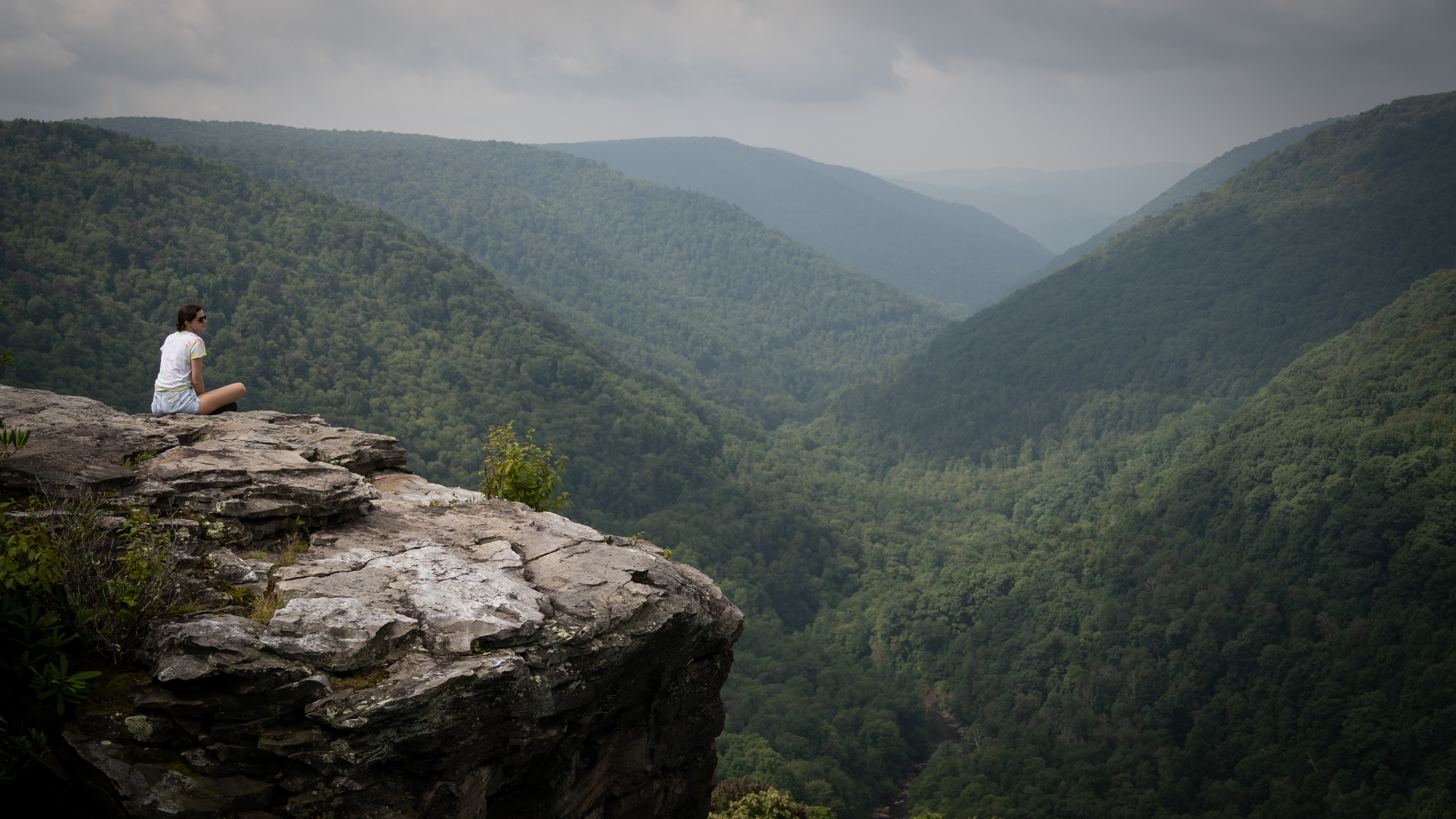 Lindy Point | Blackwater Falls State Park, WV