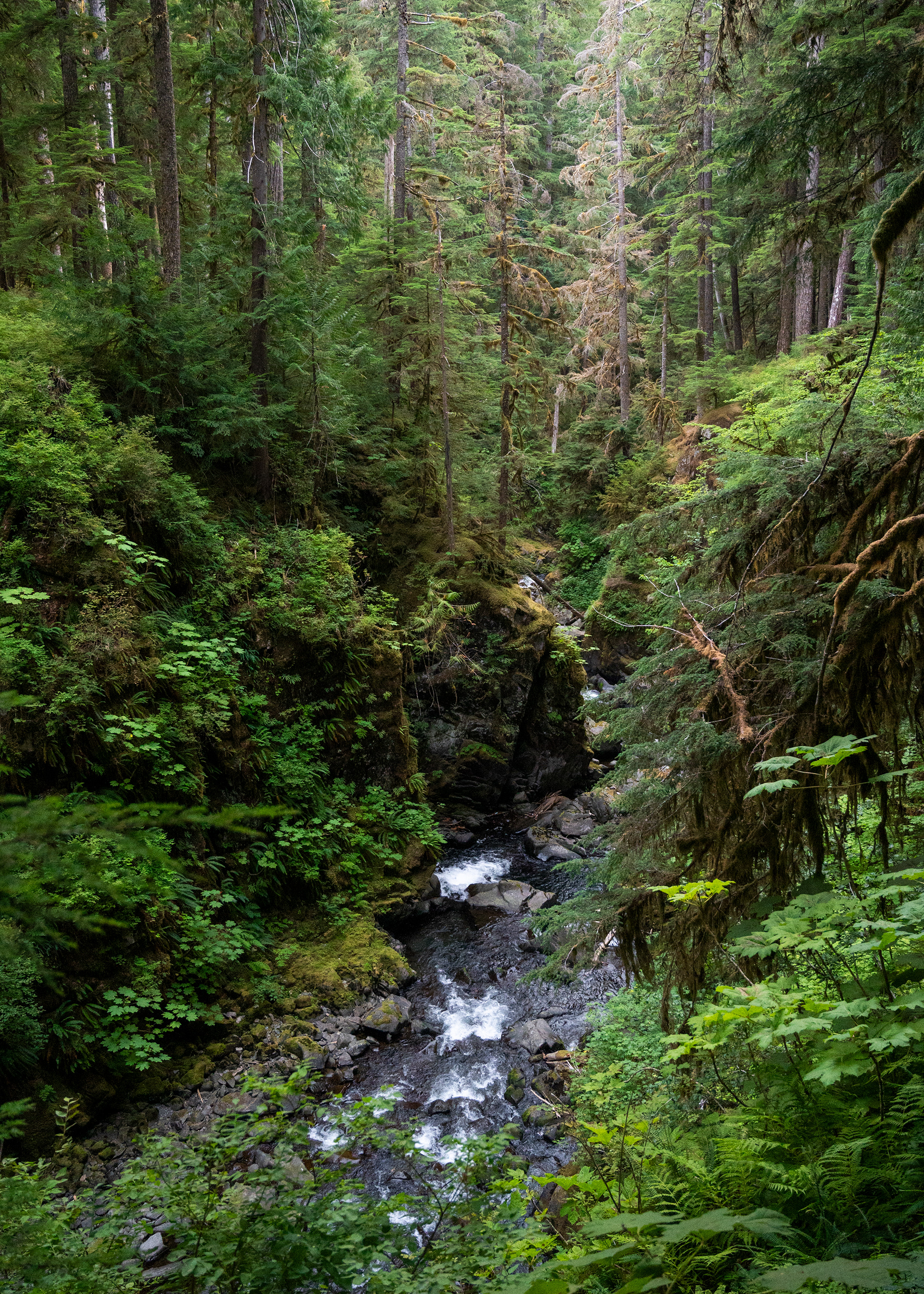 Sol Duc Falls | Olympic National Park, WA