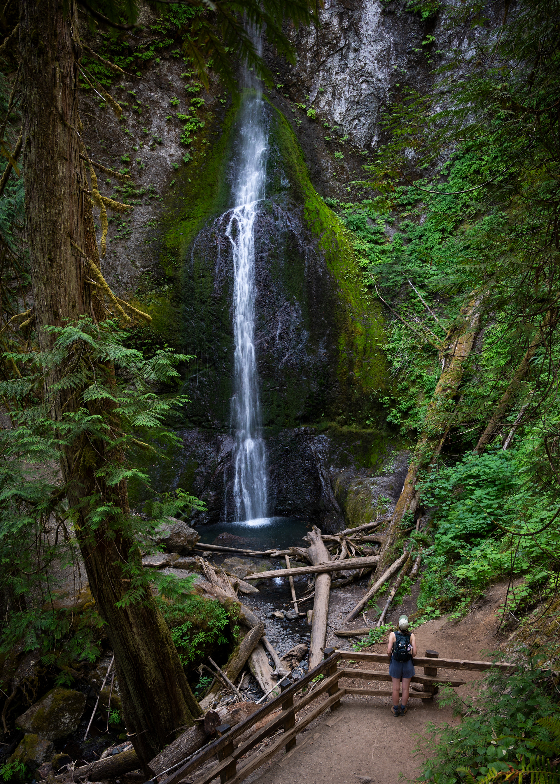 Marymere Falls | Olympic National Park, WA