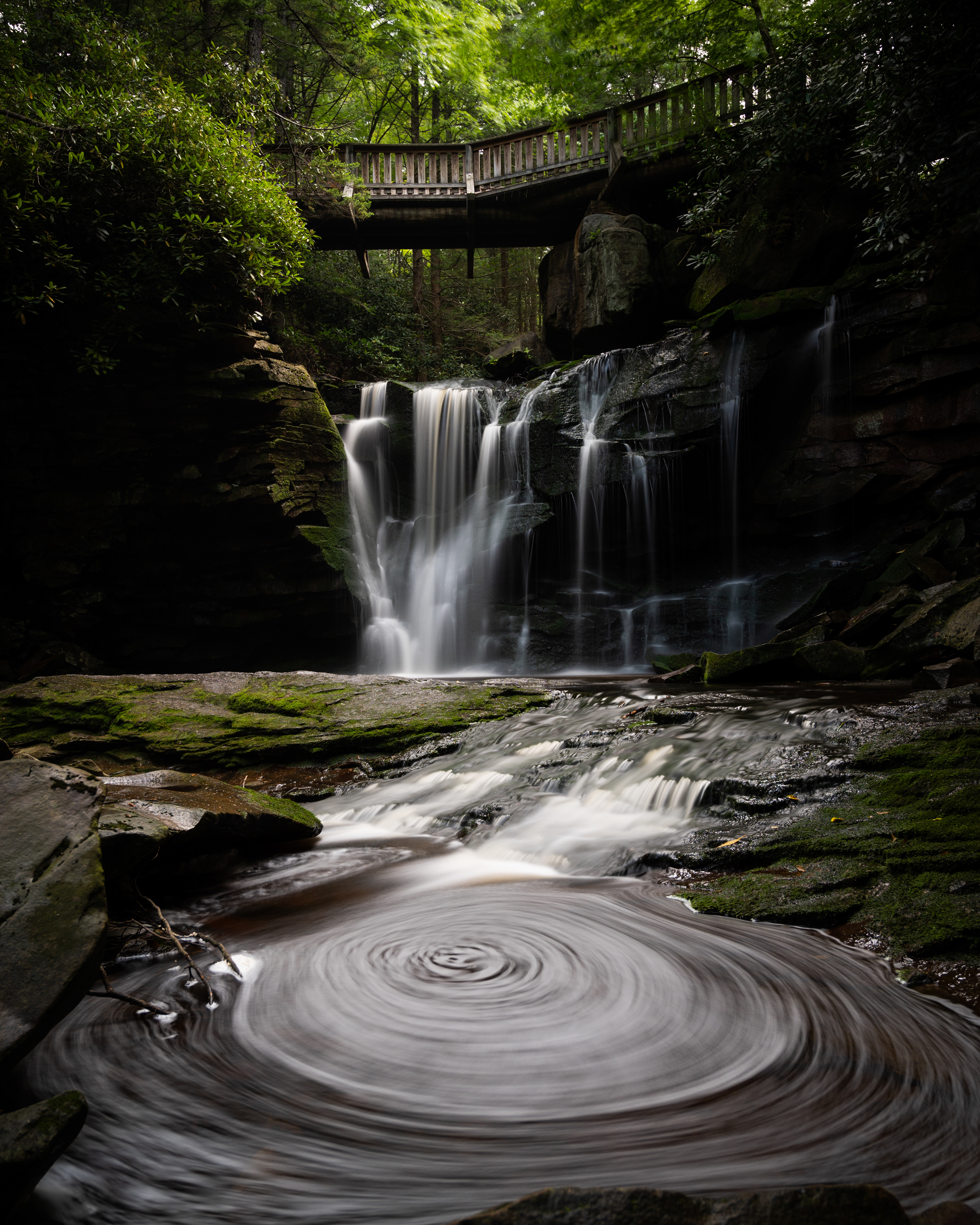 Elakala Falls | Blackwater Falls State Park, WV
