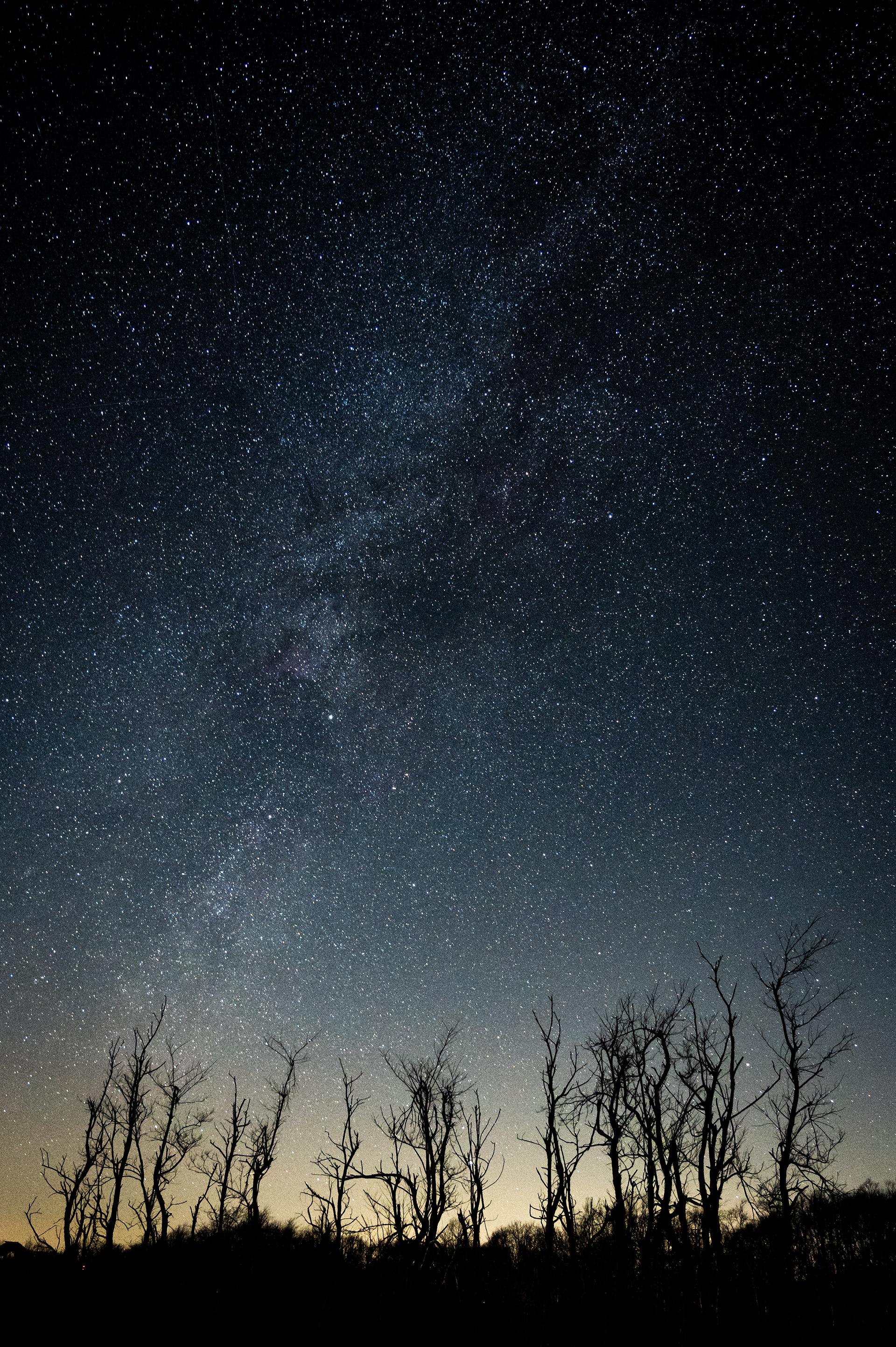 Big Meadows | Shenandoah National Park, VA