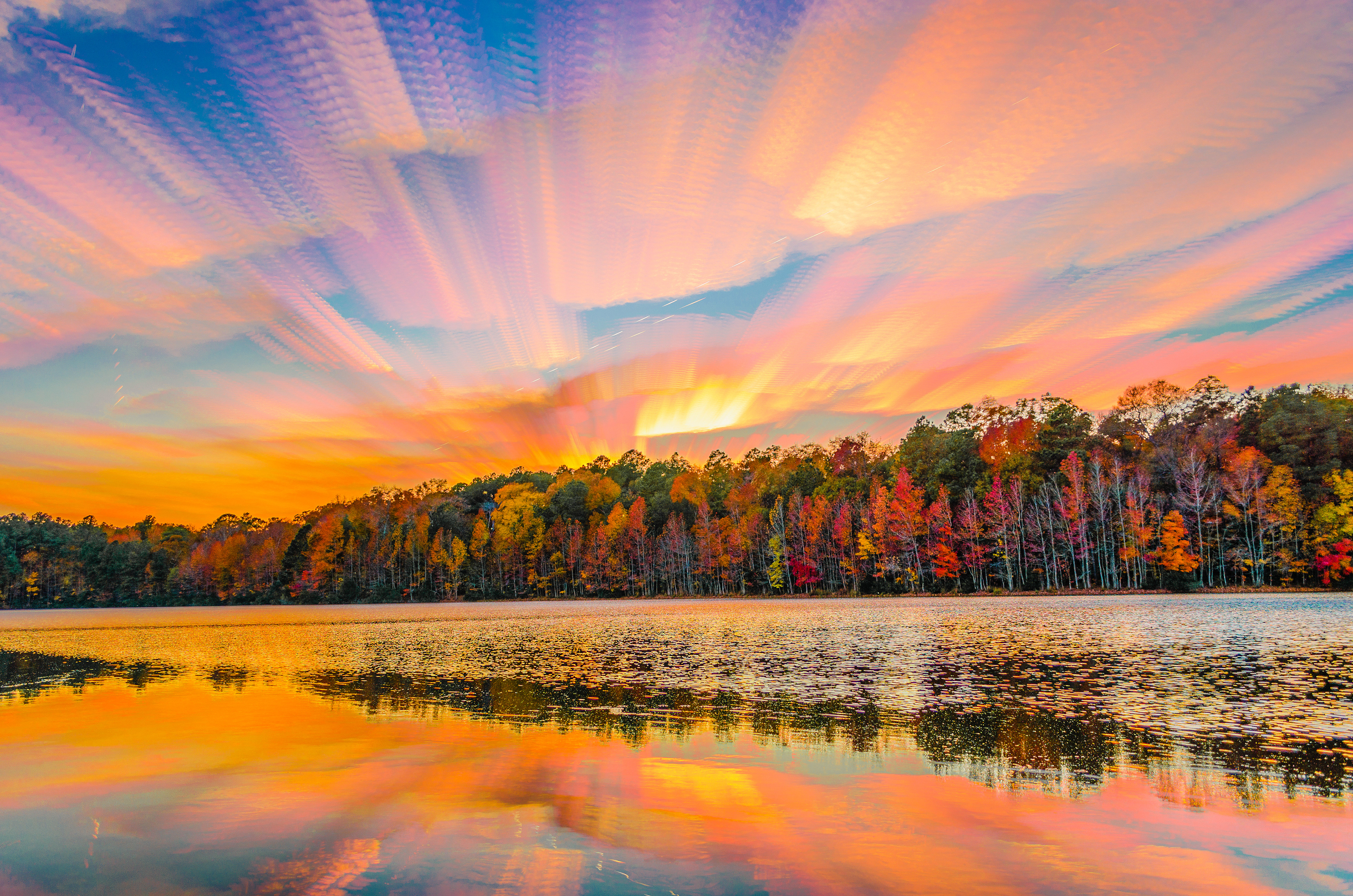 Sandy Bottom Nature Park | Hampton, VA