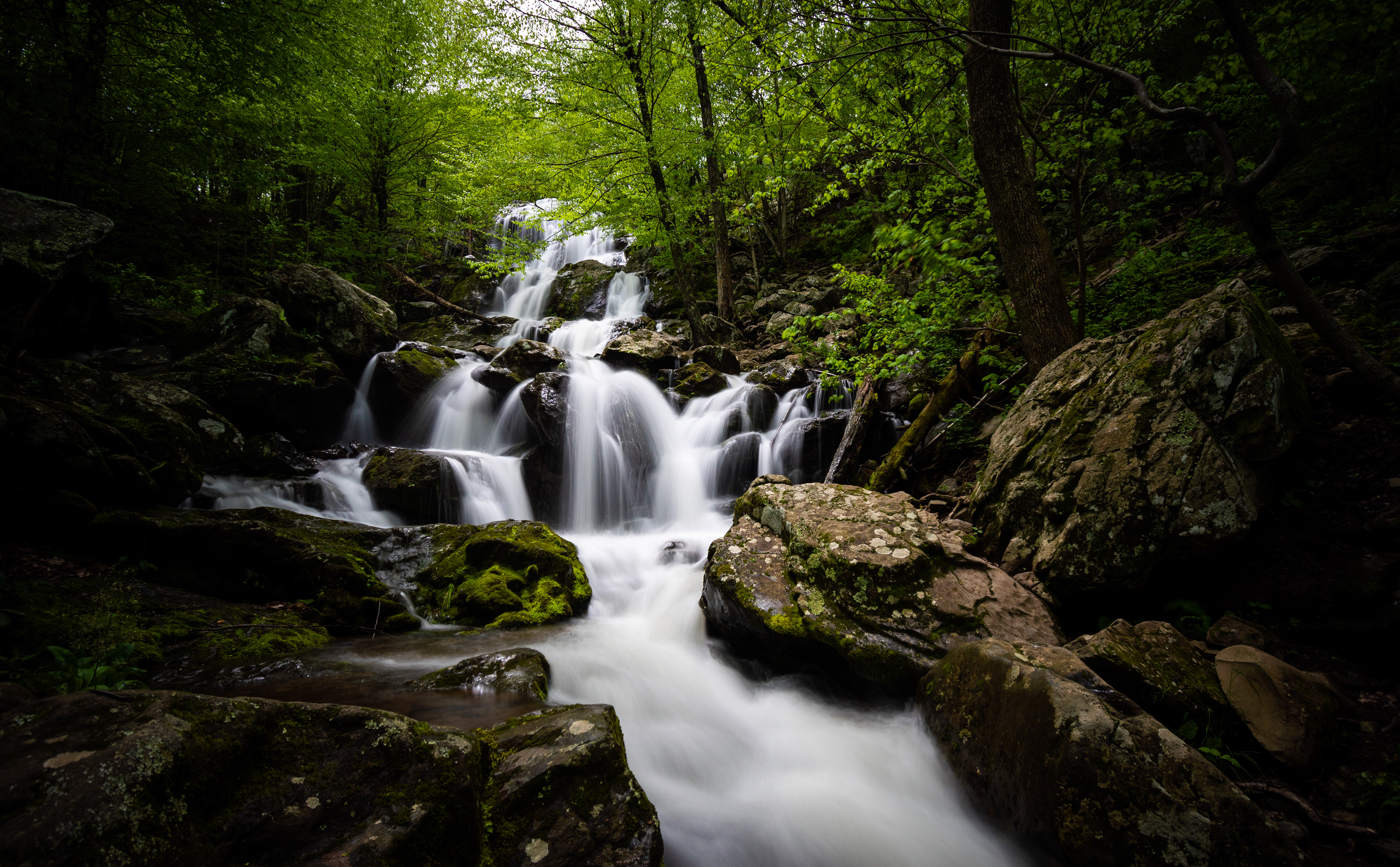 Dark Hollow Falls | Shenandoah National Park, VA