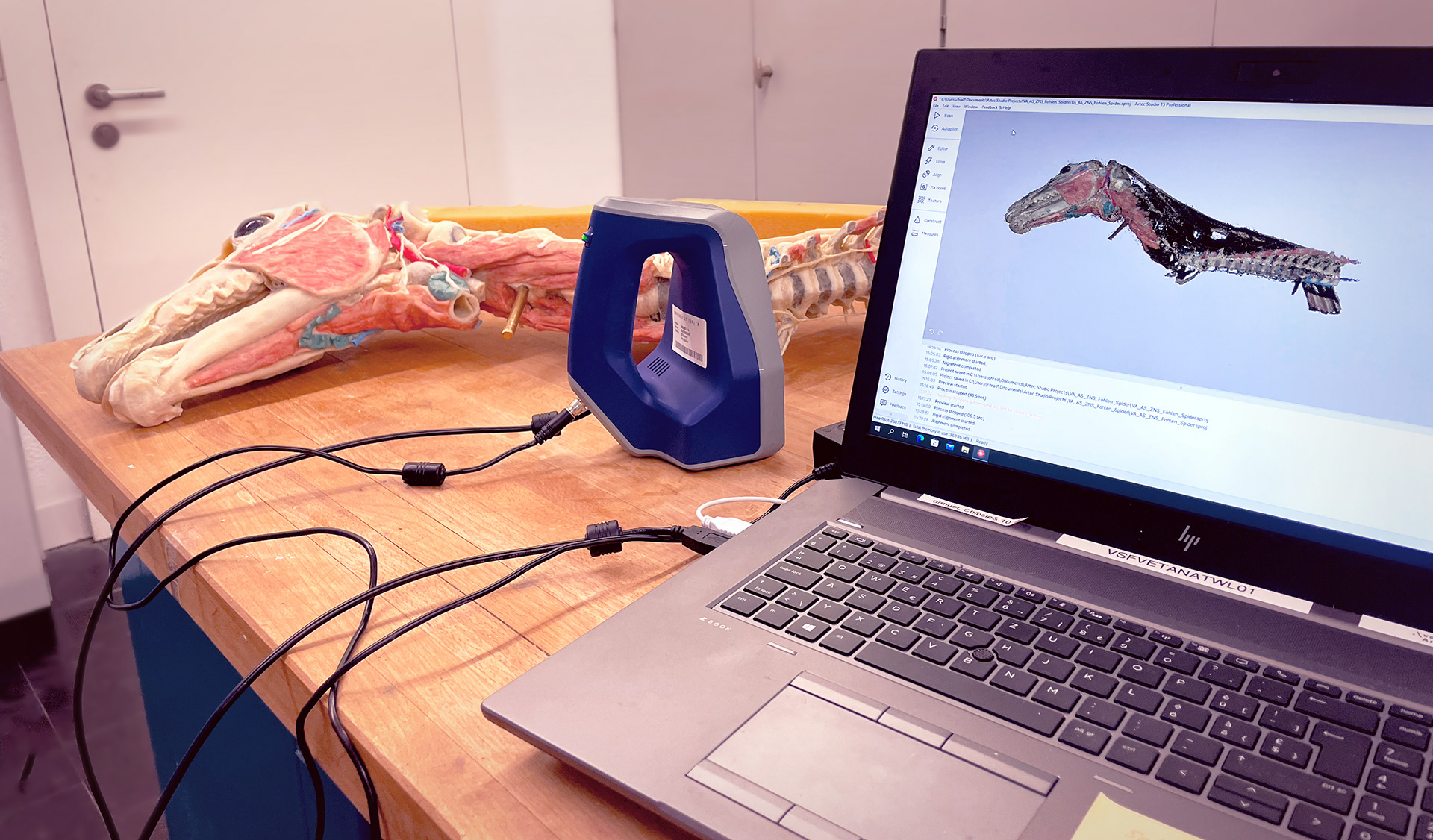 Scientific Illustration - Vet-Anatomy UZH