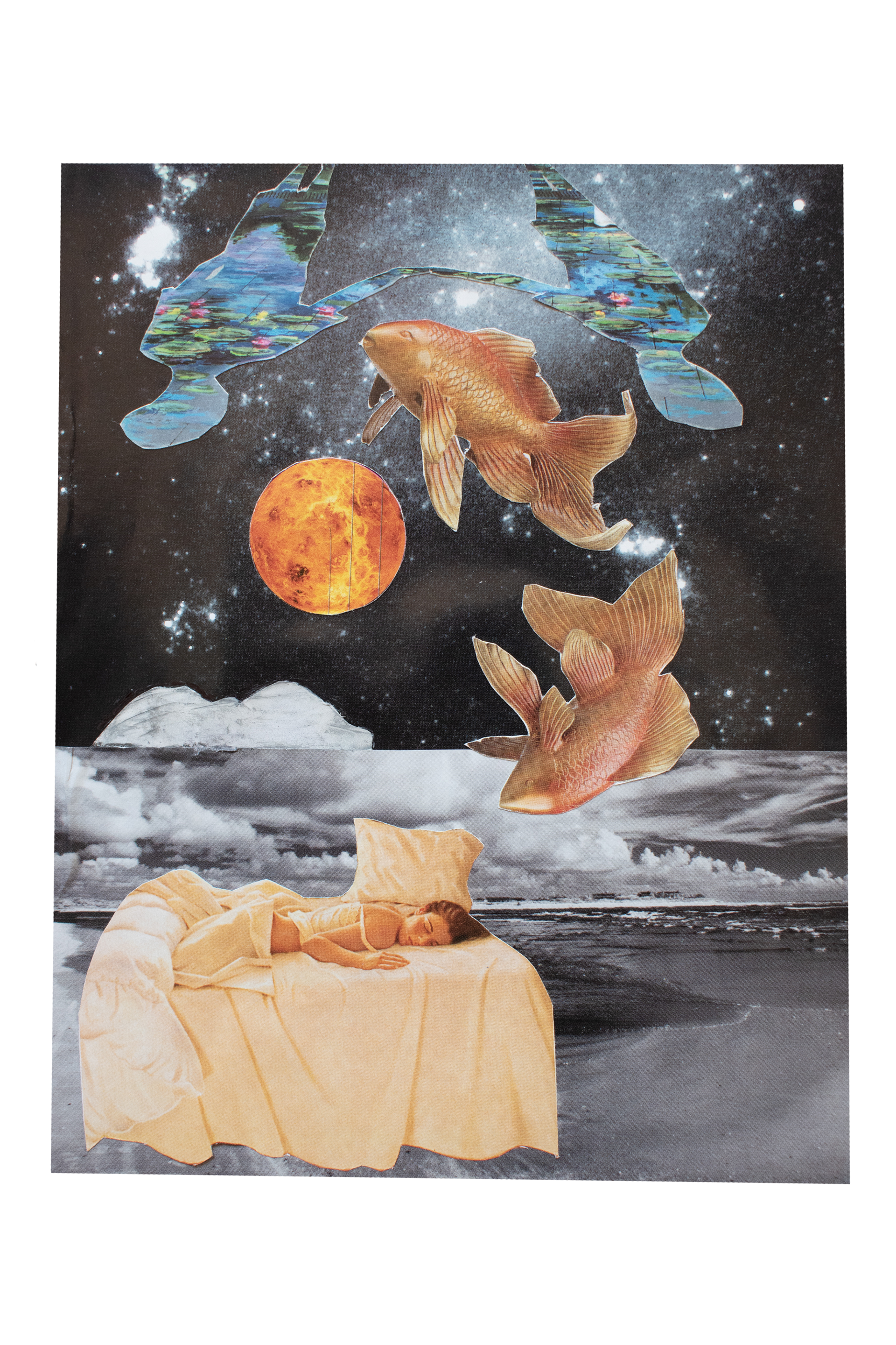 "Pisces Venus" Magazine paper on cardboard, 2022