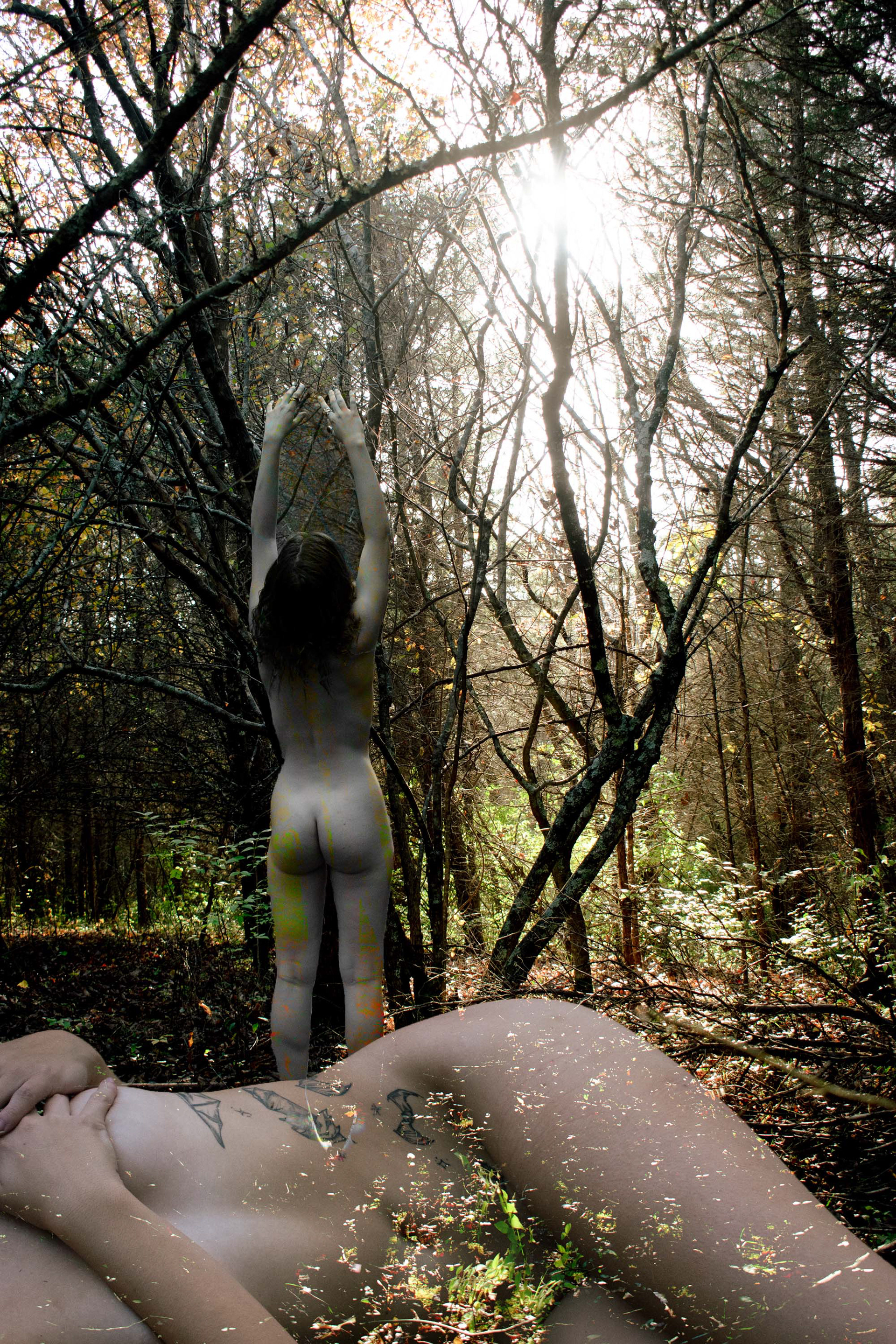 "Apollo" Digital photography and digital collage, 2023