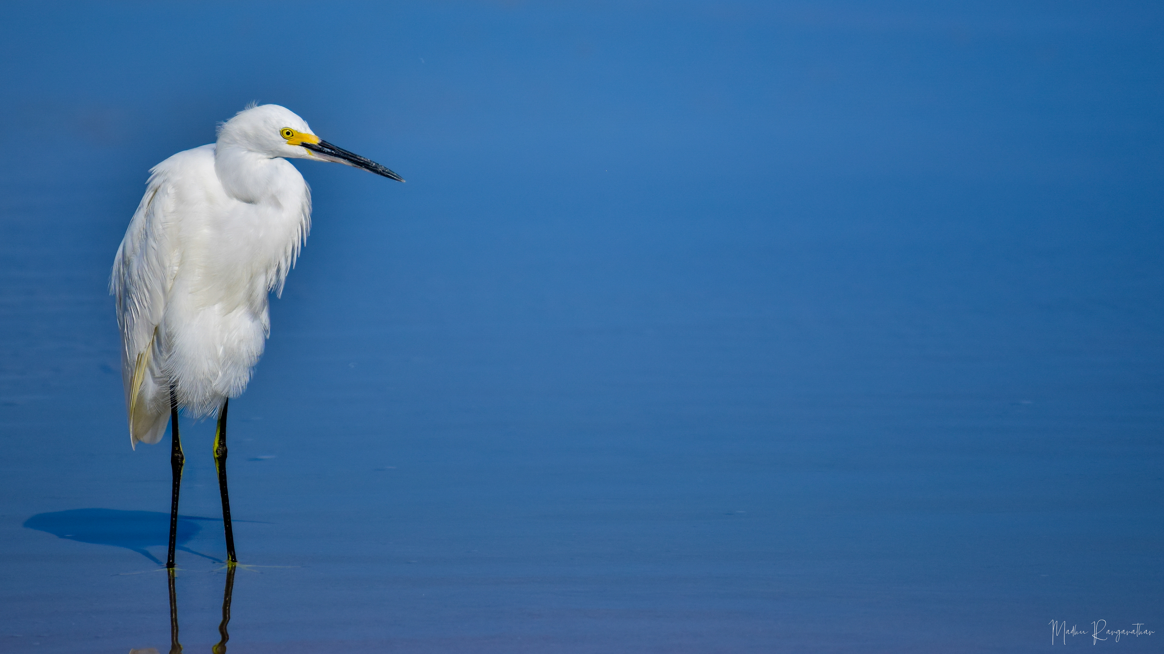 Egret, Florida, US