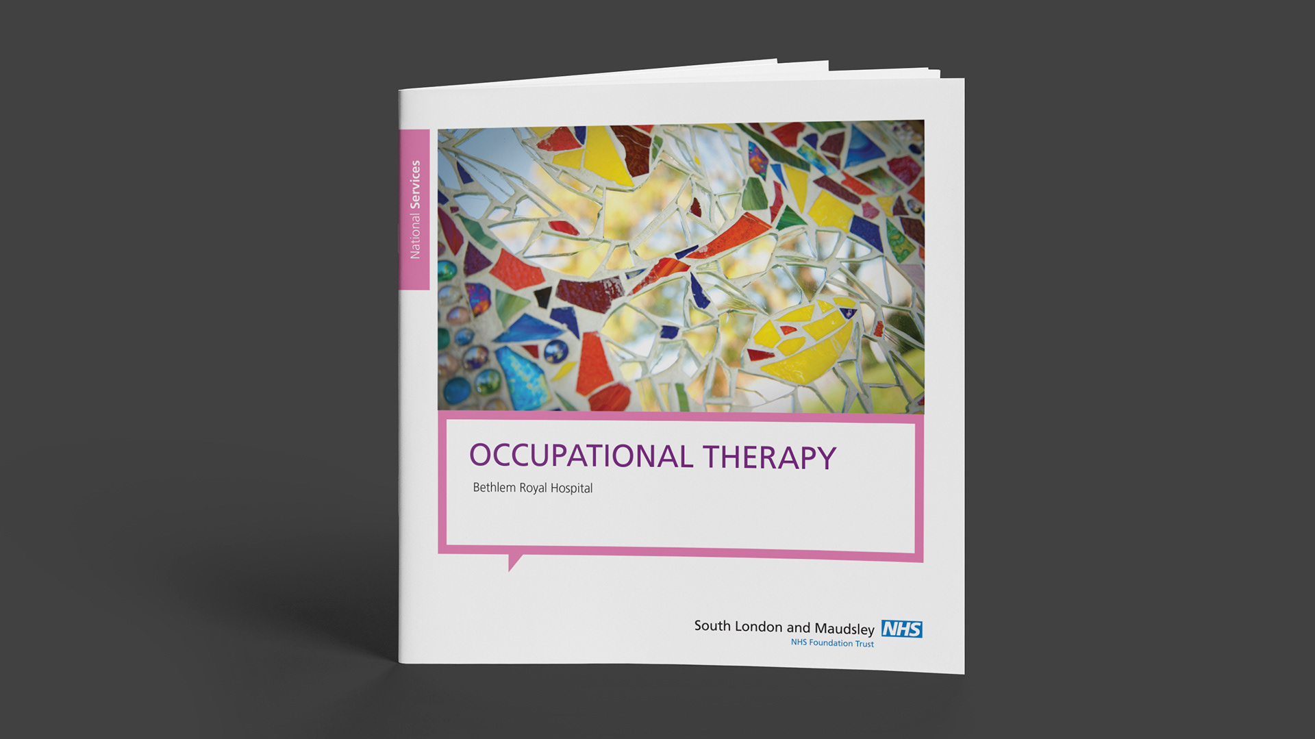 South London & Maudsley NHS Foundation Trust National Services Occupational Therapy brochure cover