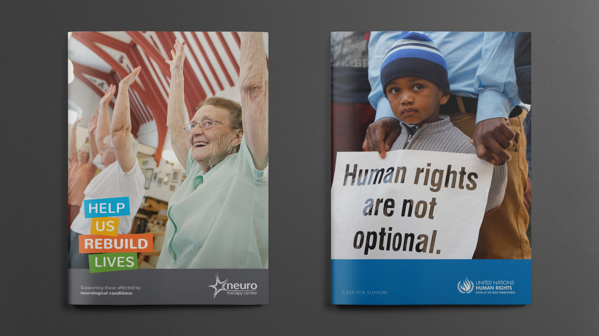 Two capital appeal cases for support. On the left is one for the Neuro Therapy Centre; on the right is one for the United Nations Human Rights