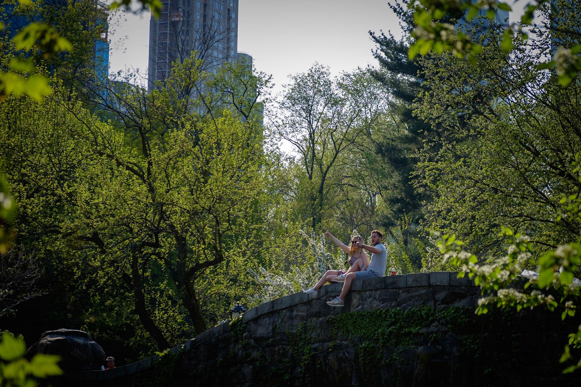 Central Park, New York