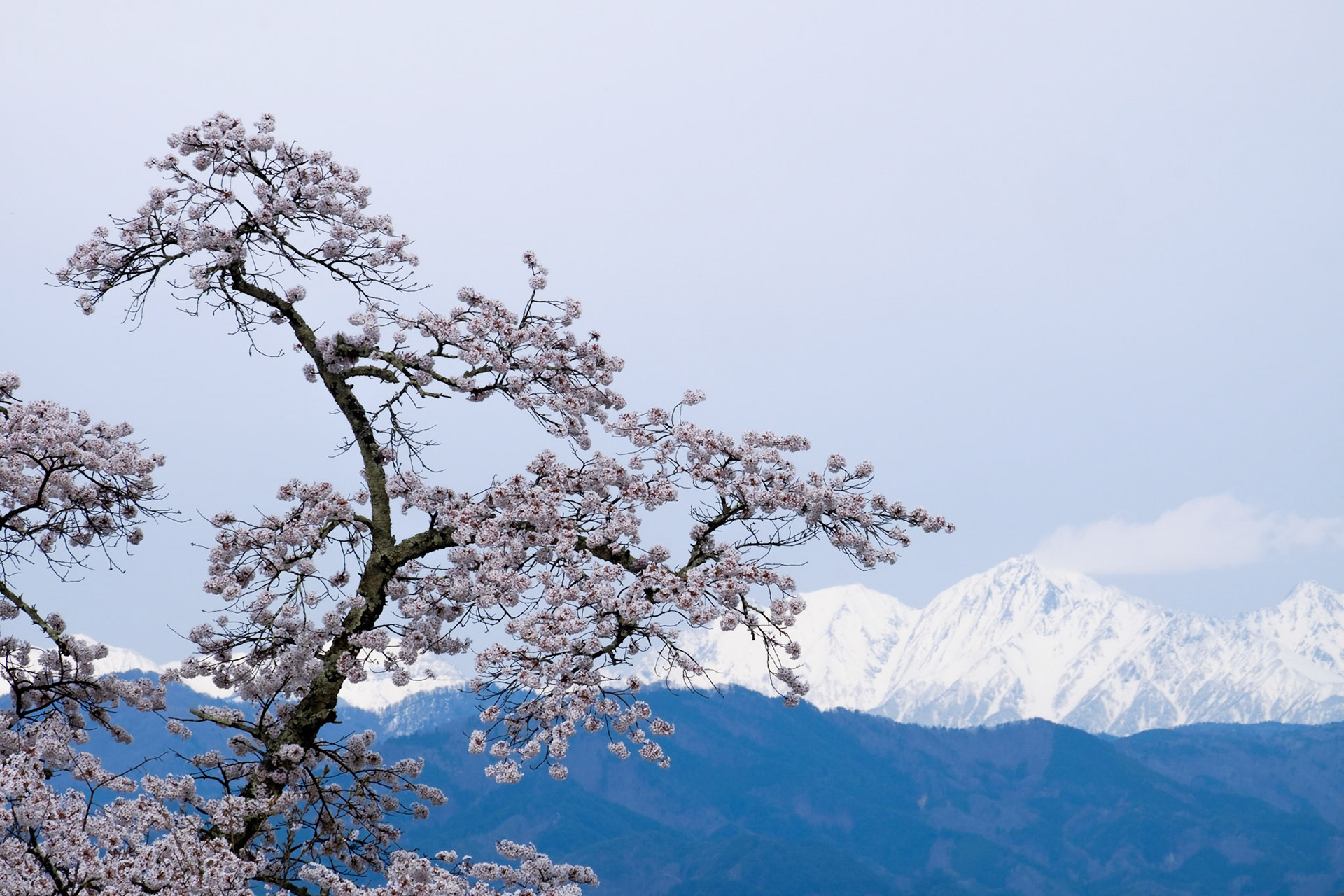 Near Takayama, Northern Japan