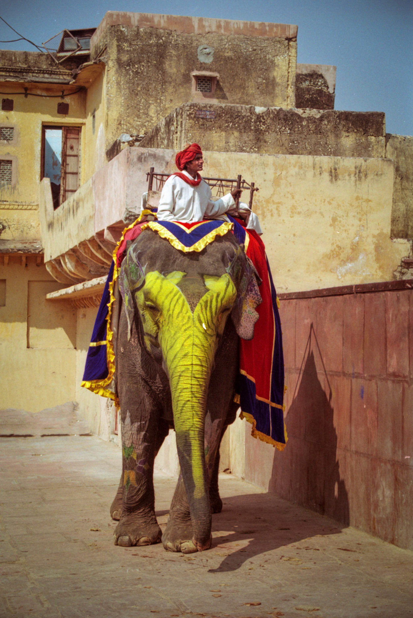 Amber Fort, Jaipur