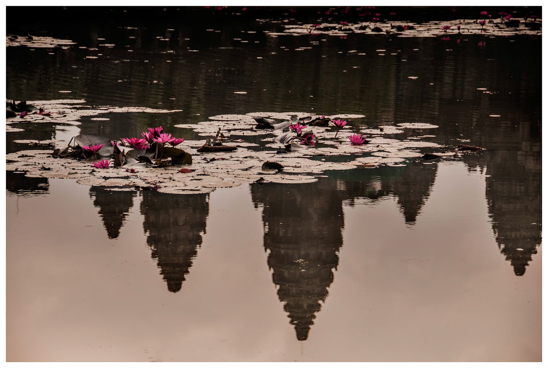 Angkor Watt, Cambodia