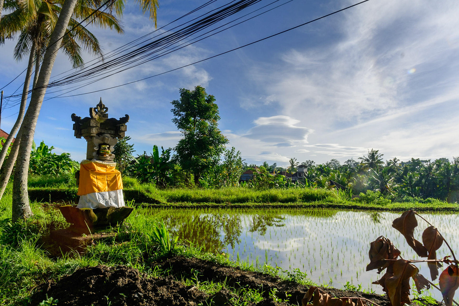 Ubud, Bali