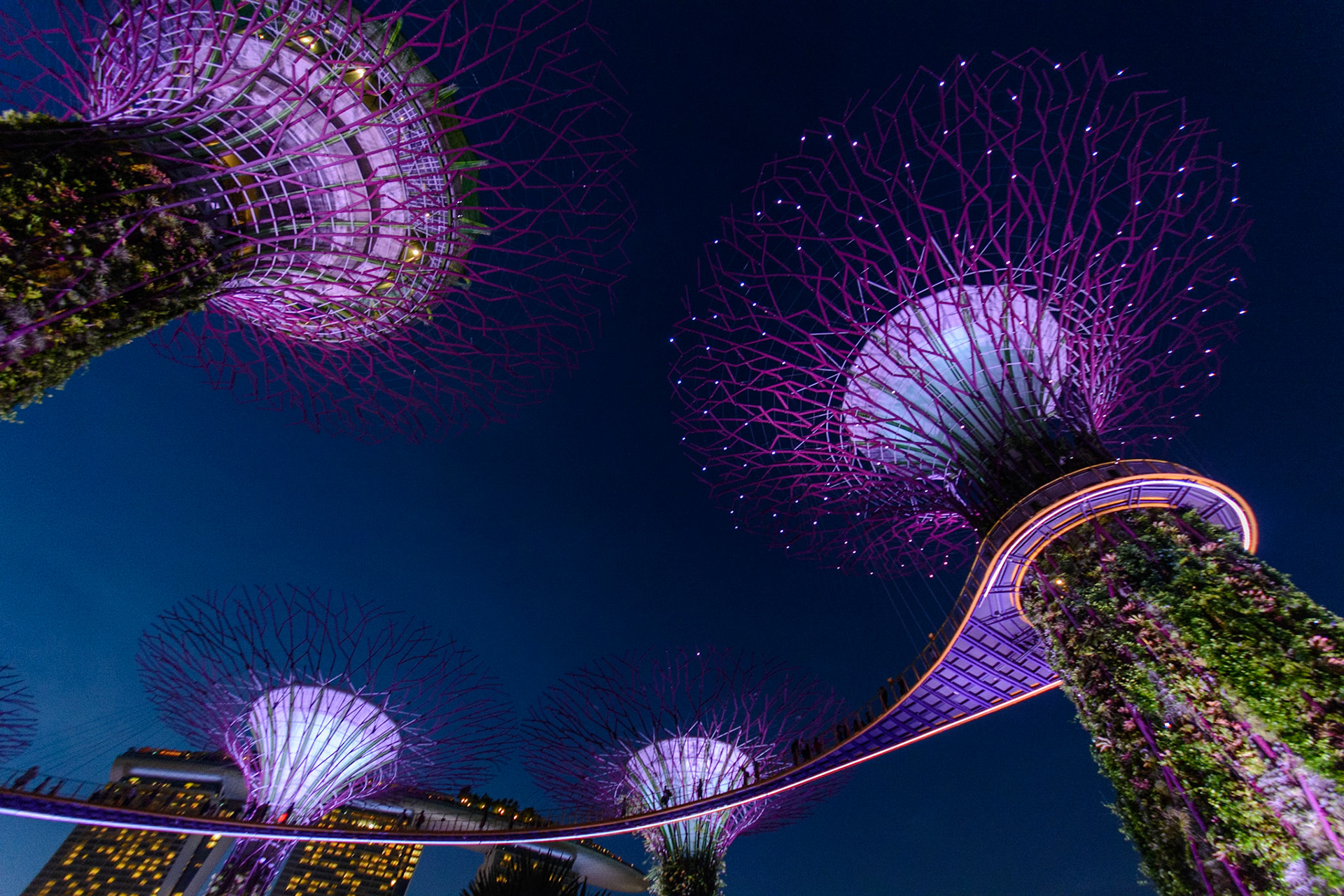 Supertrees, Gardens by the Bay, Singapore