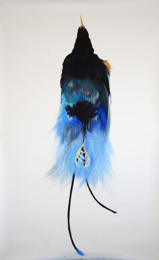 Roos Holleman - Bird of Paradise