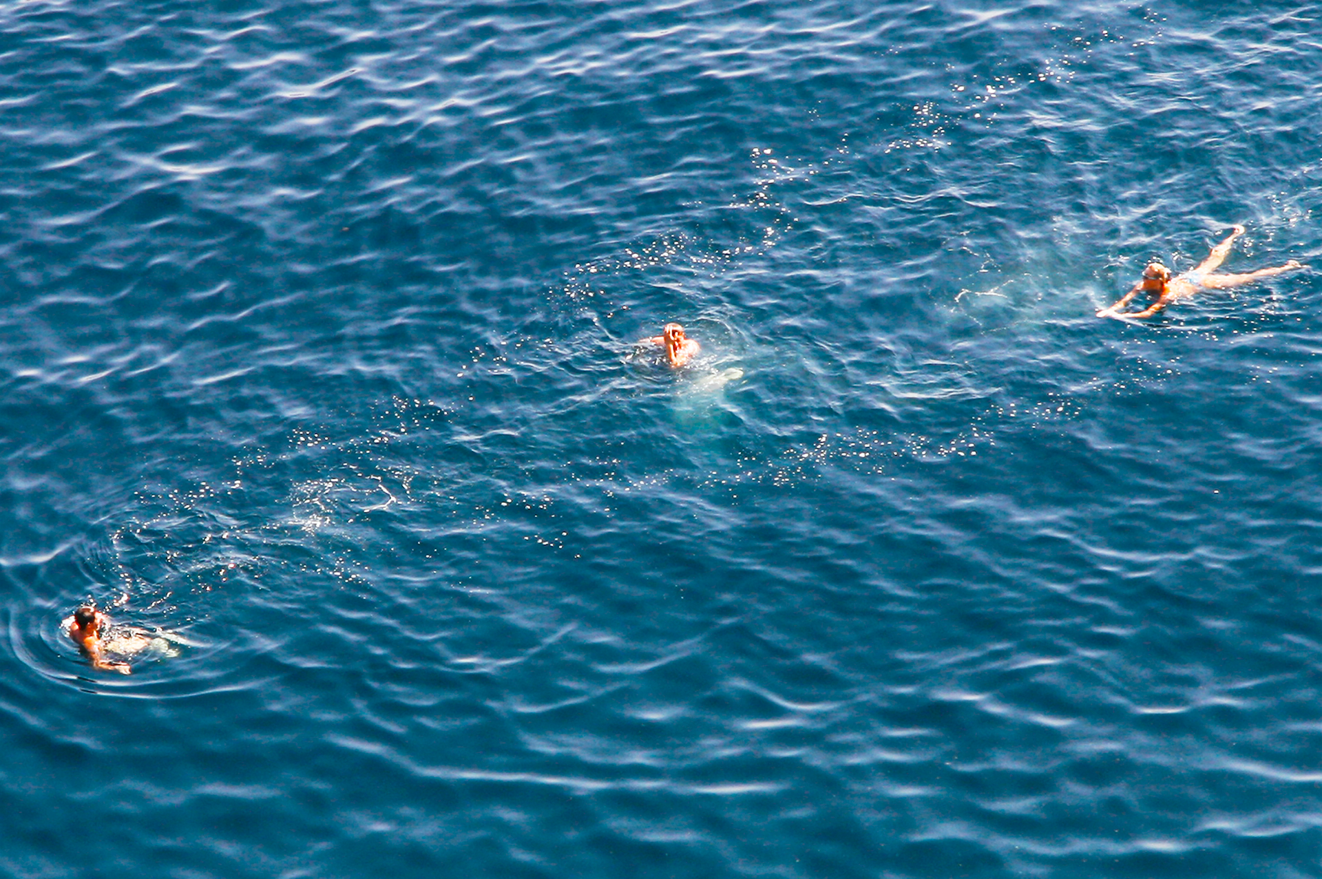 "Adriatic Swim #1" 