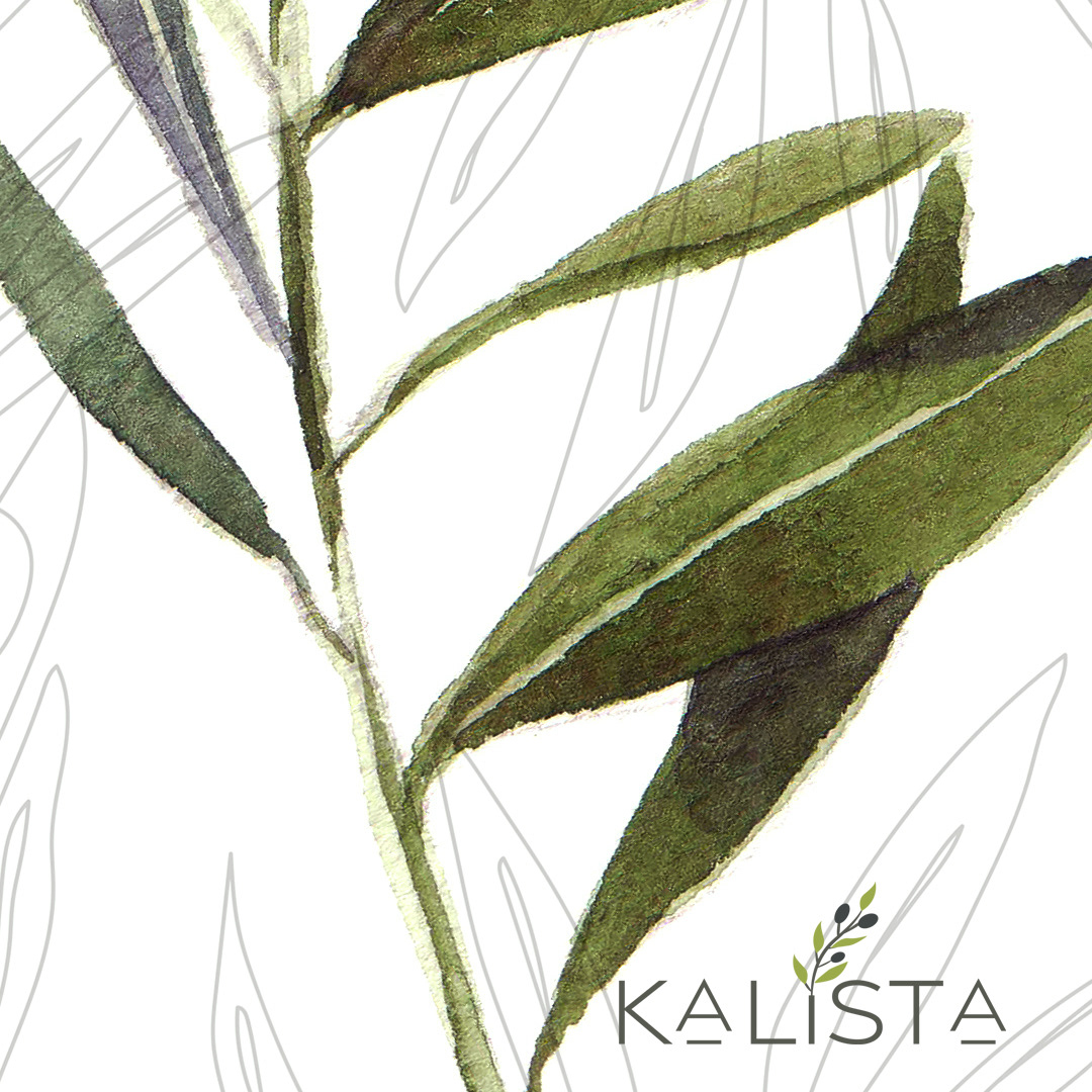 Kalista | Art Direction + Graphic Design