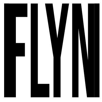 FLYN Collective 