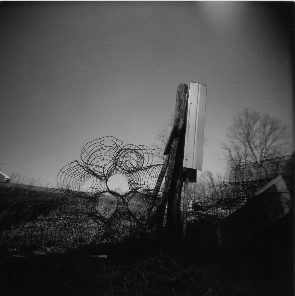 Advent IX. Augusta County Virginia, USA