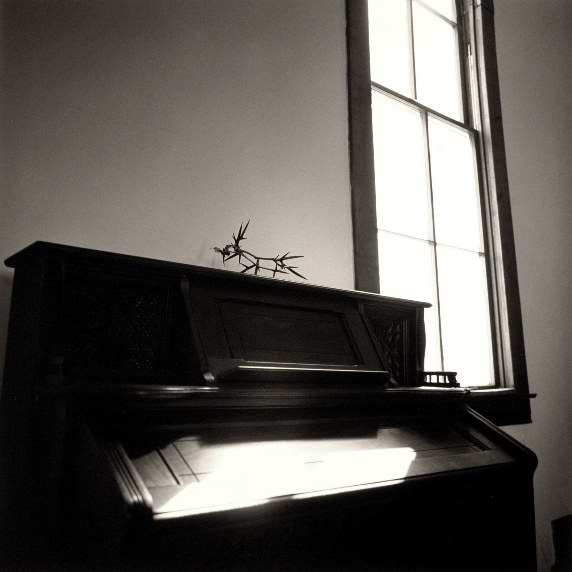 Sacred Spaces - Mount Zion: Crown of Thorns | Mercer County, KY.