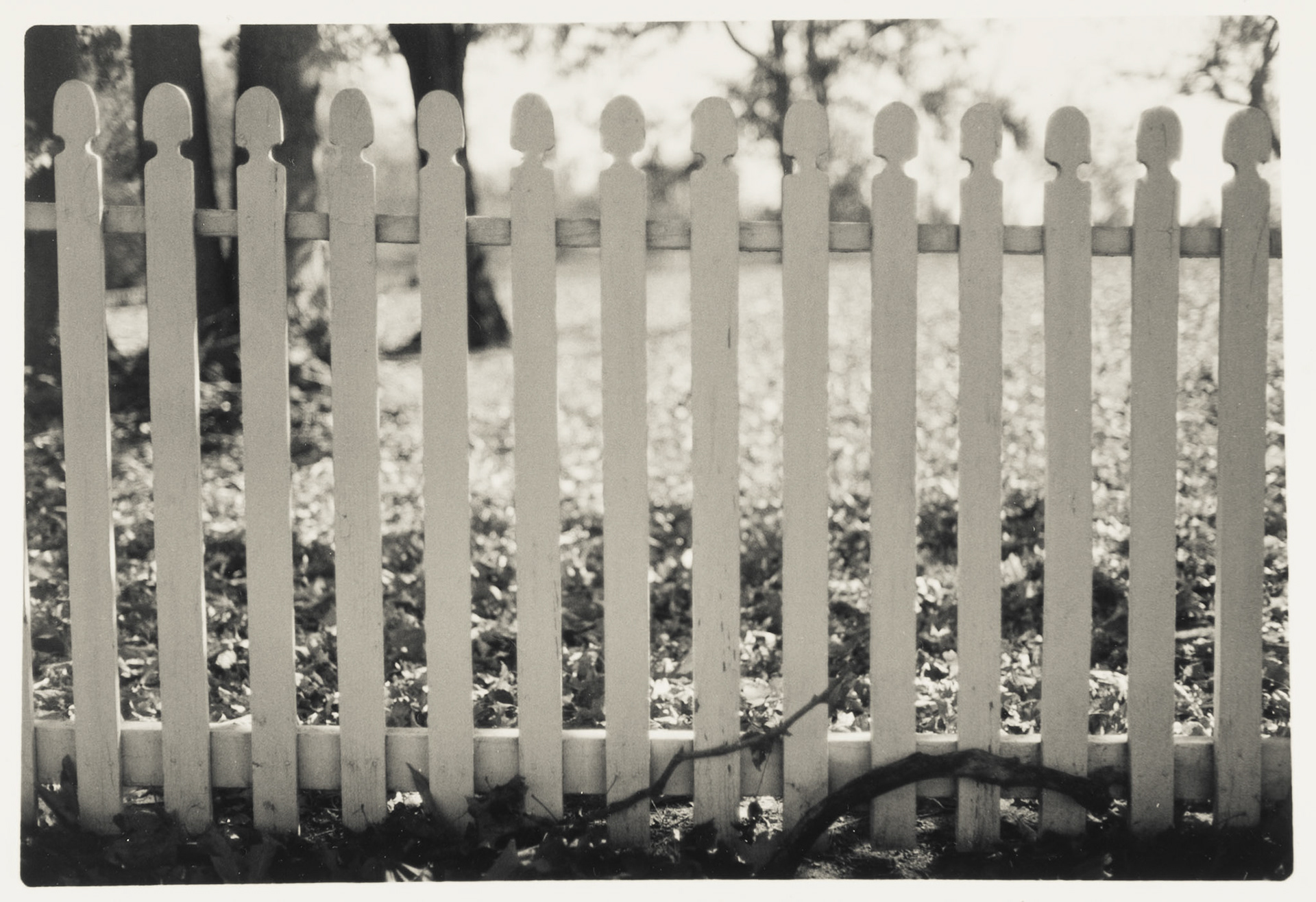 Fence at Shaker Village