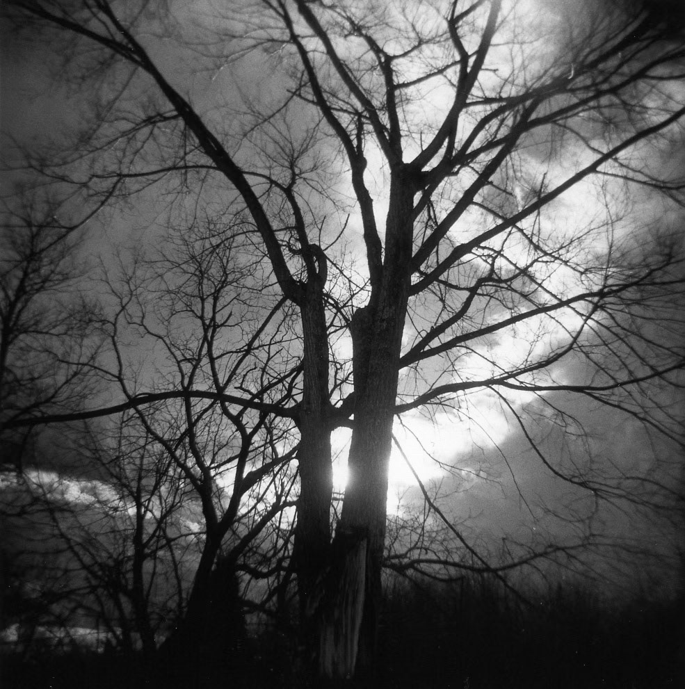 Advent XIV. Jessamine  County, Kentucky USA