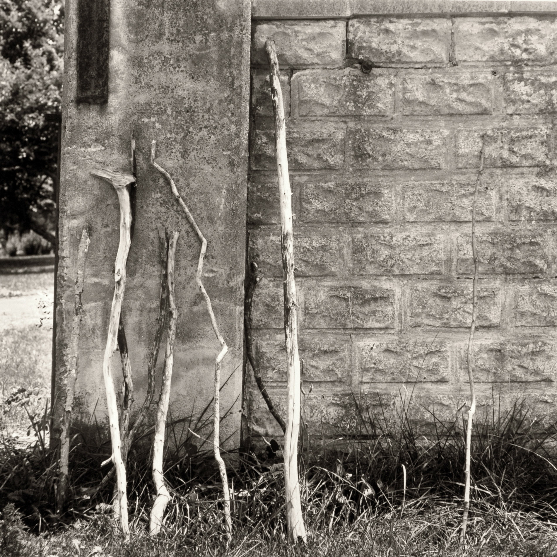 Sacred Spaces - Gethsemani Abbey: Walking Sticks | Trappist, Nelson County, KY.
