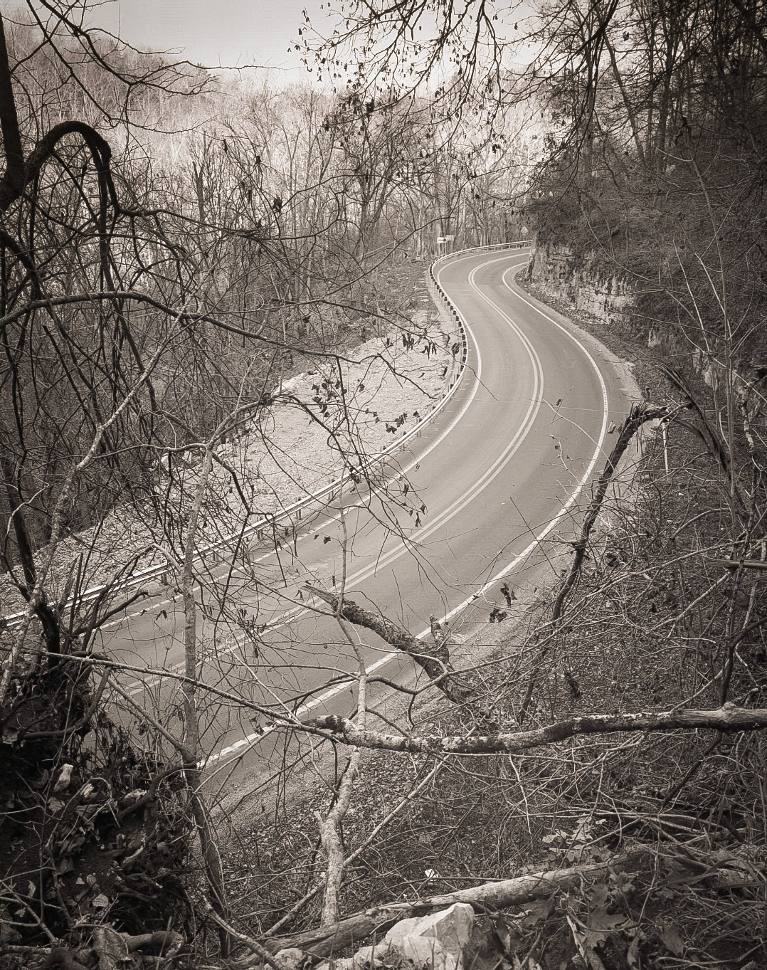 Another S Curve