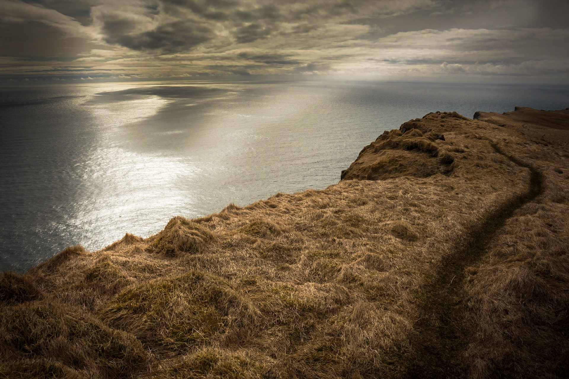 Trail Nearing Edge. Látrabjarg Cliffs. Iceland 2018
