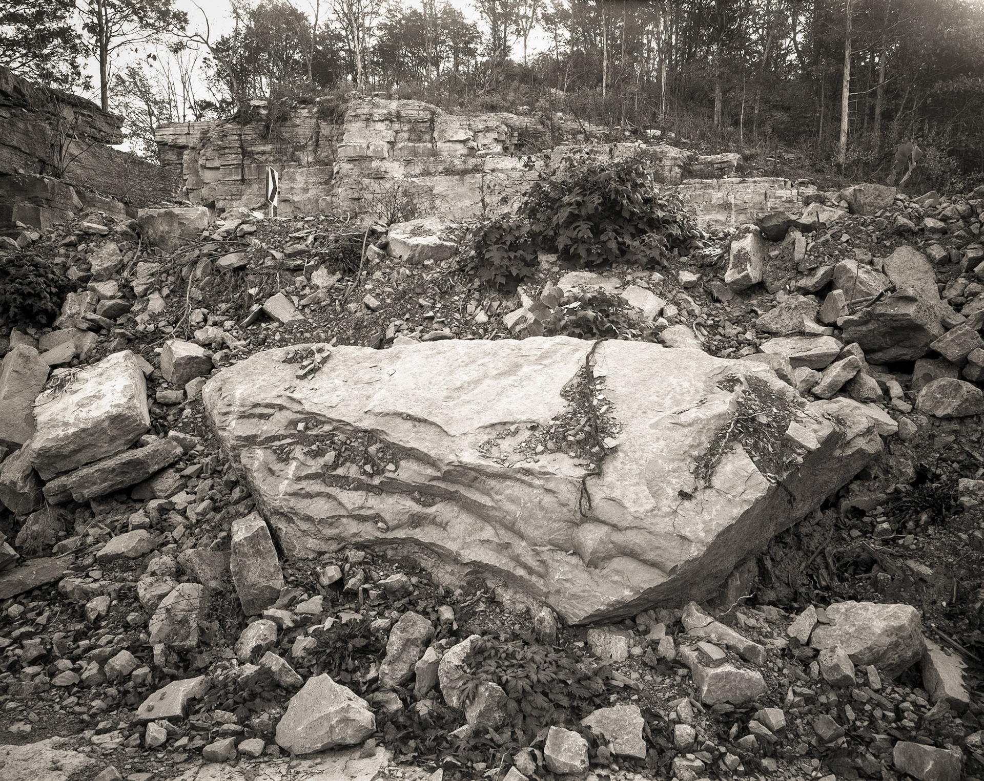 Embedded Boulder and Sign
