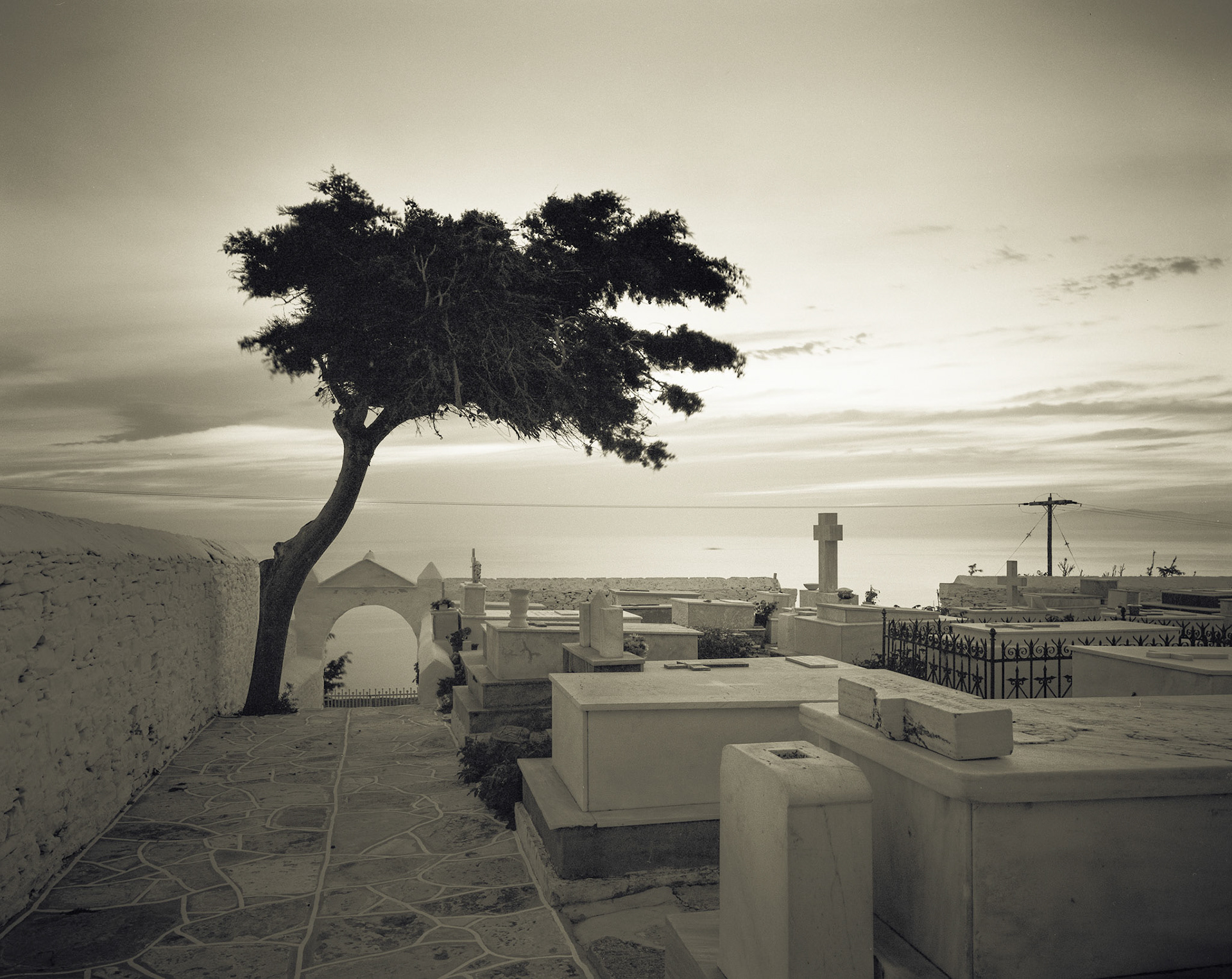 Cemetery Tree, and Aegean Sea. Aghios Loukas