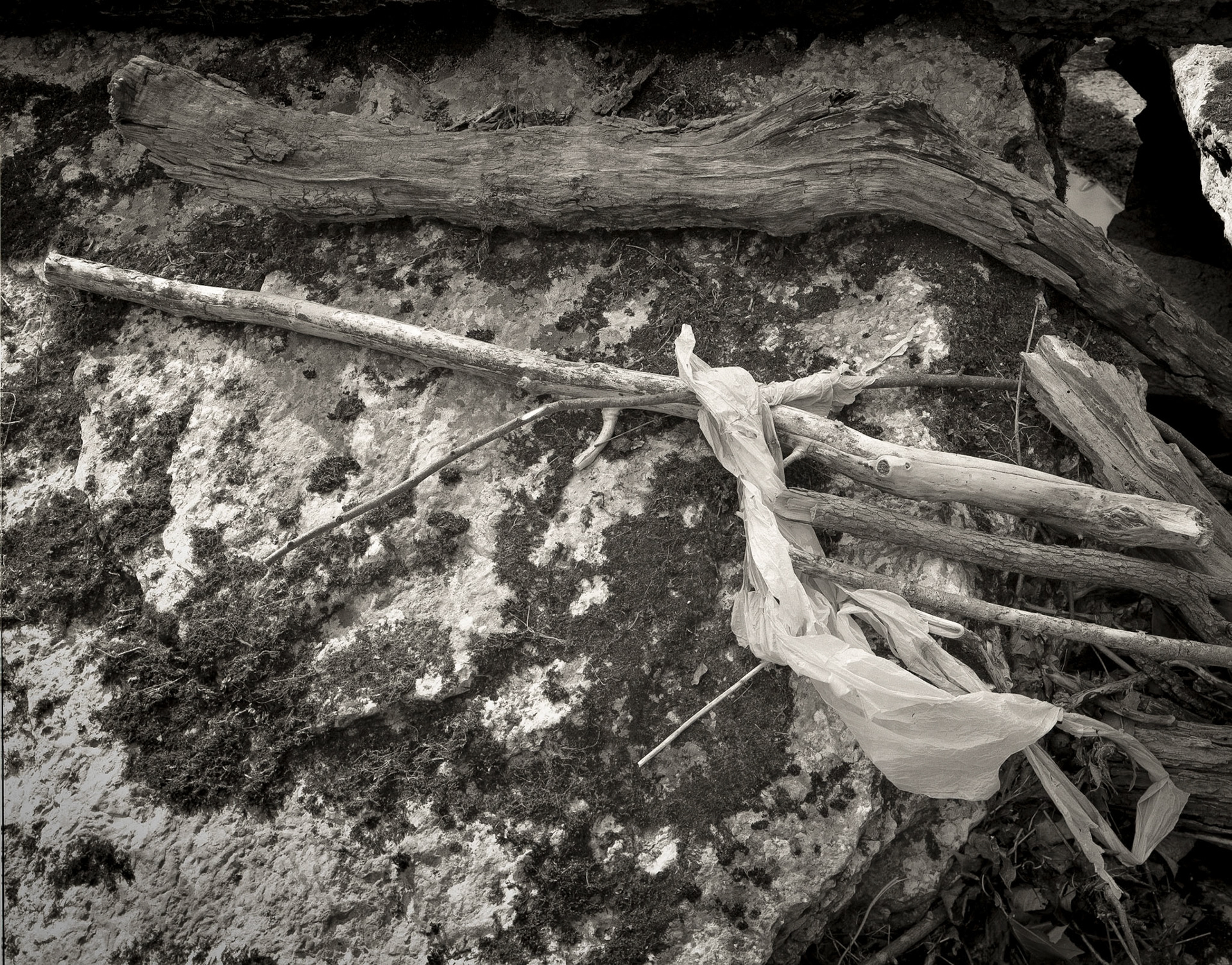 Indian Creek. Sticks and Plastic