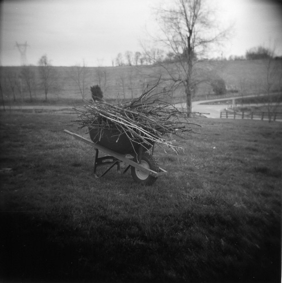 Advent XVII. Jessamine County, Kentucky, USA.