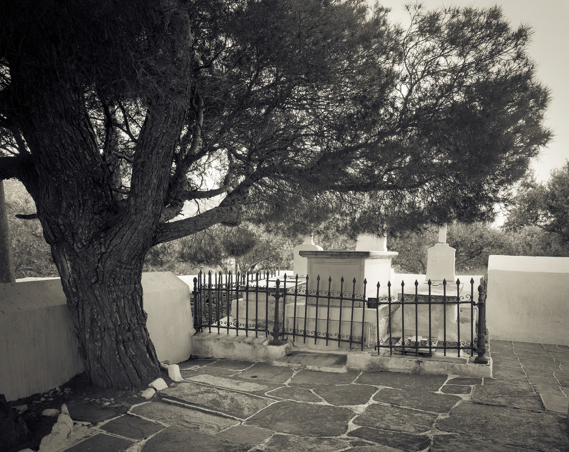 Tree and Tombstones. St. Peter's Chapel