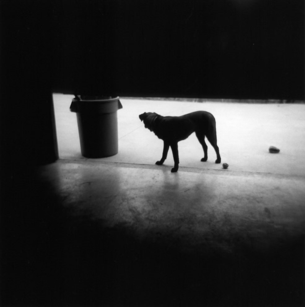 Advent VII Jessamine  County, Kentucky, USA