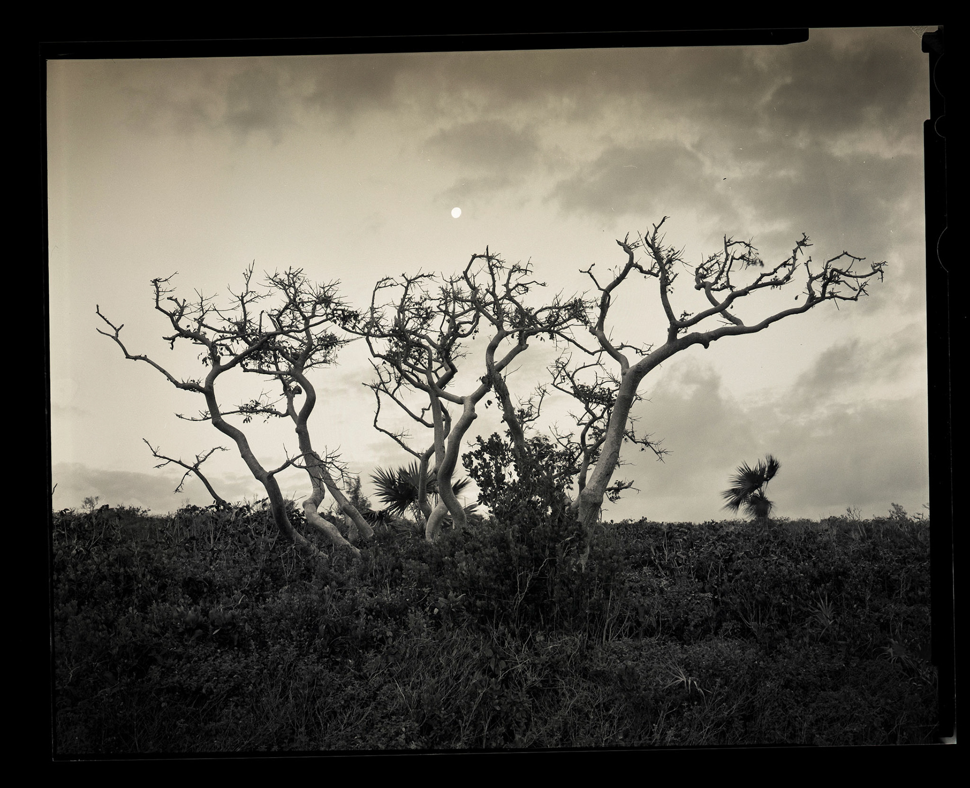 Glory at Moonset. Bahamas. 2014