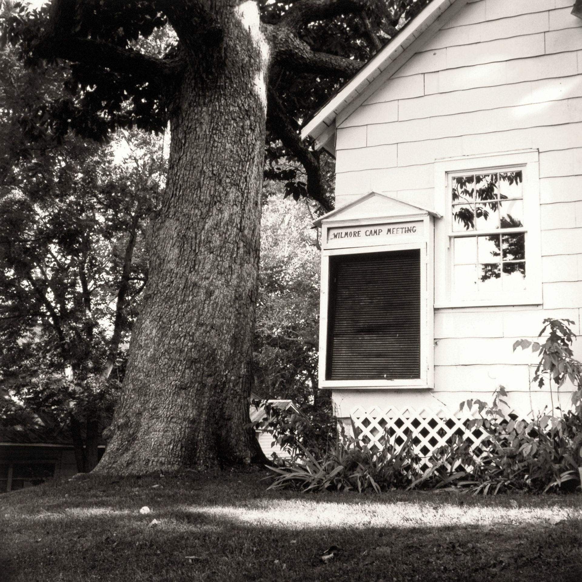 Sacred Spaces: Wilmore Campmeeting: Tree and Sign | Wilmore, Jessamine County, KY