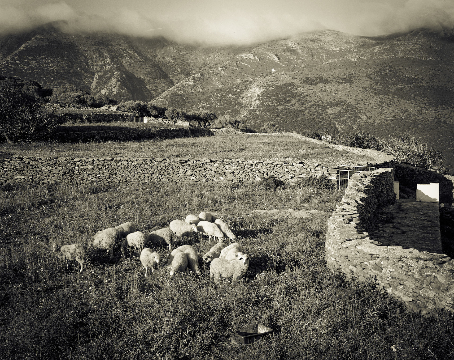 Sheep pen at Agios Dimitrios