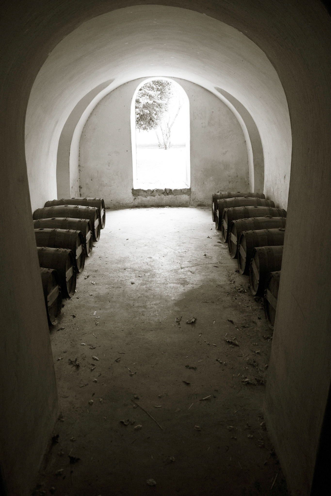Wine Cellar. Groot Constantia vineyards