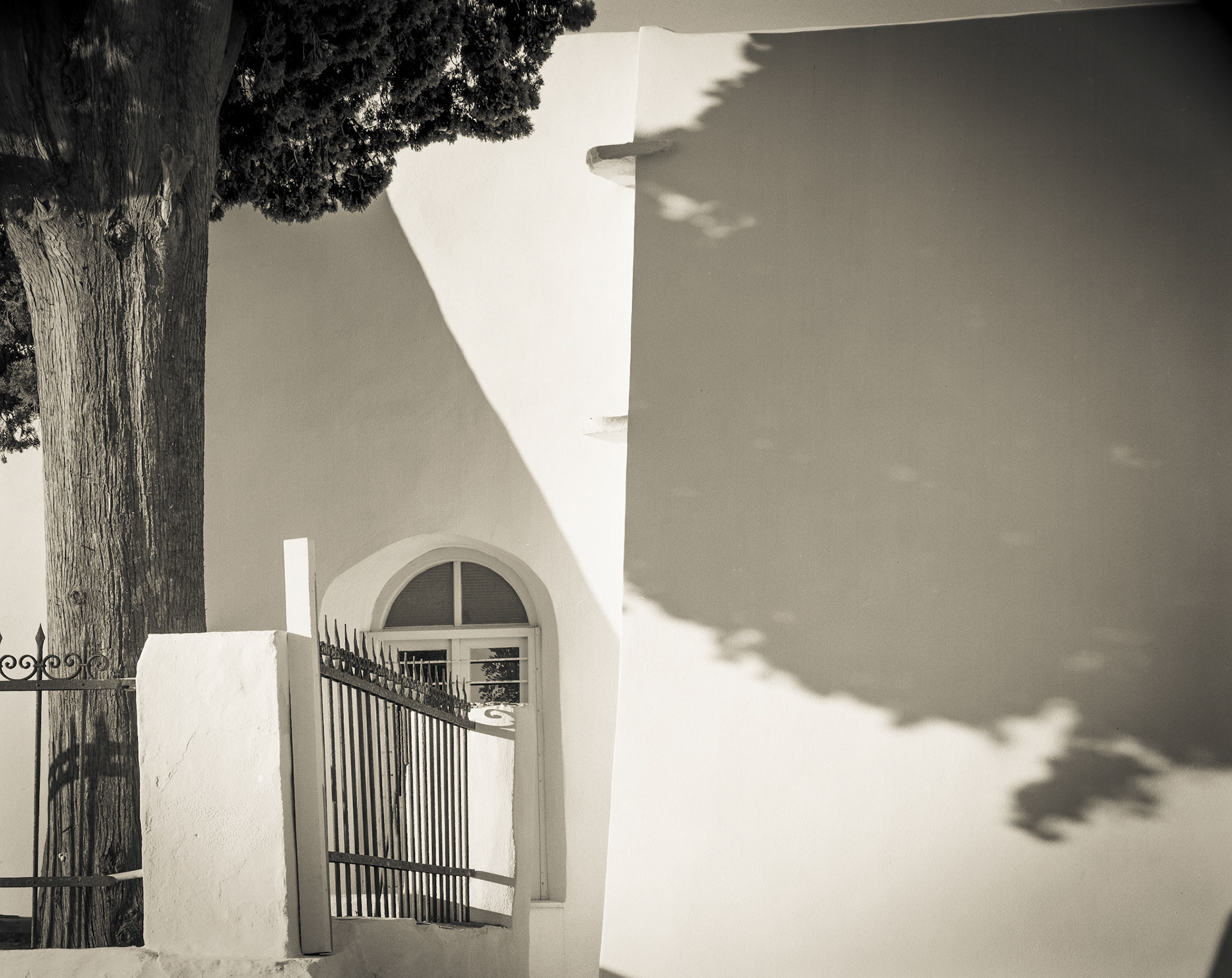 Tree, Shadow on Agios Konstantinos