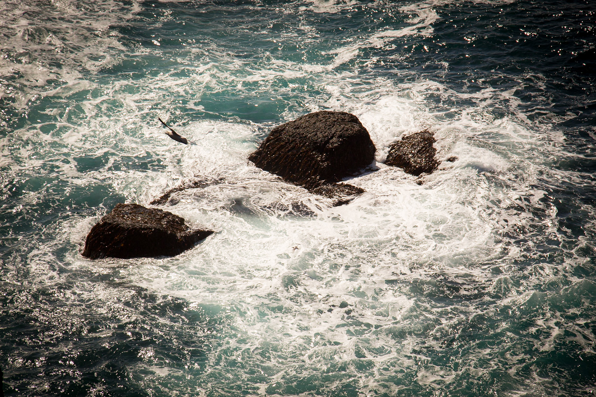 Offshore Rocks. Látrabjarg Cliffs. Iceland