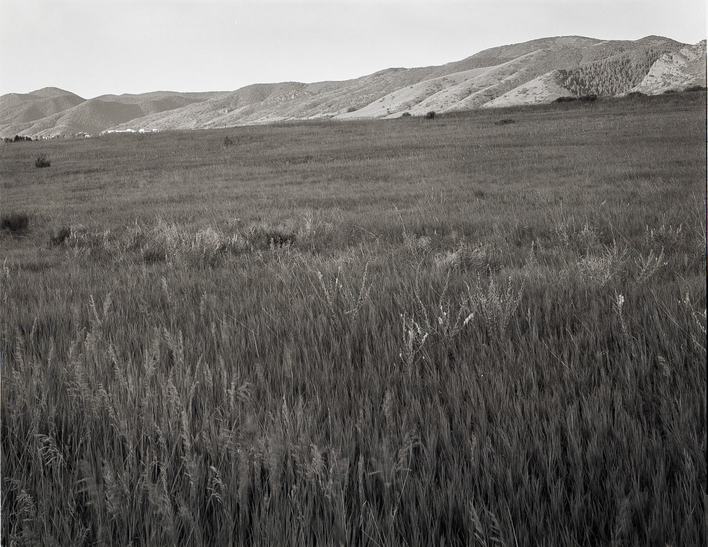 Hill Edge, Hillside • South Valley, Colorado, USA